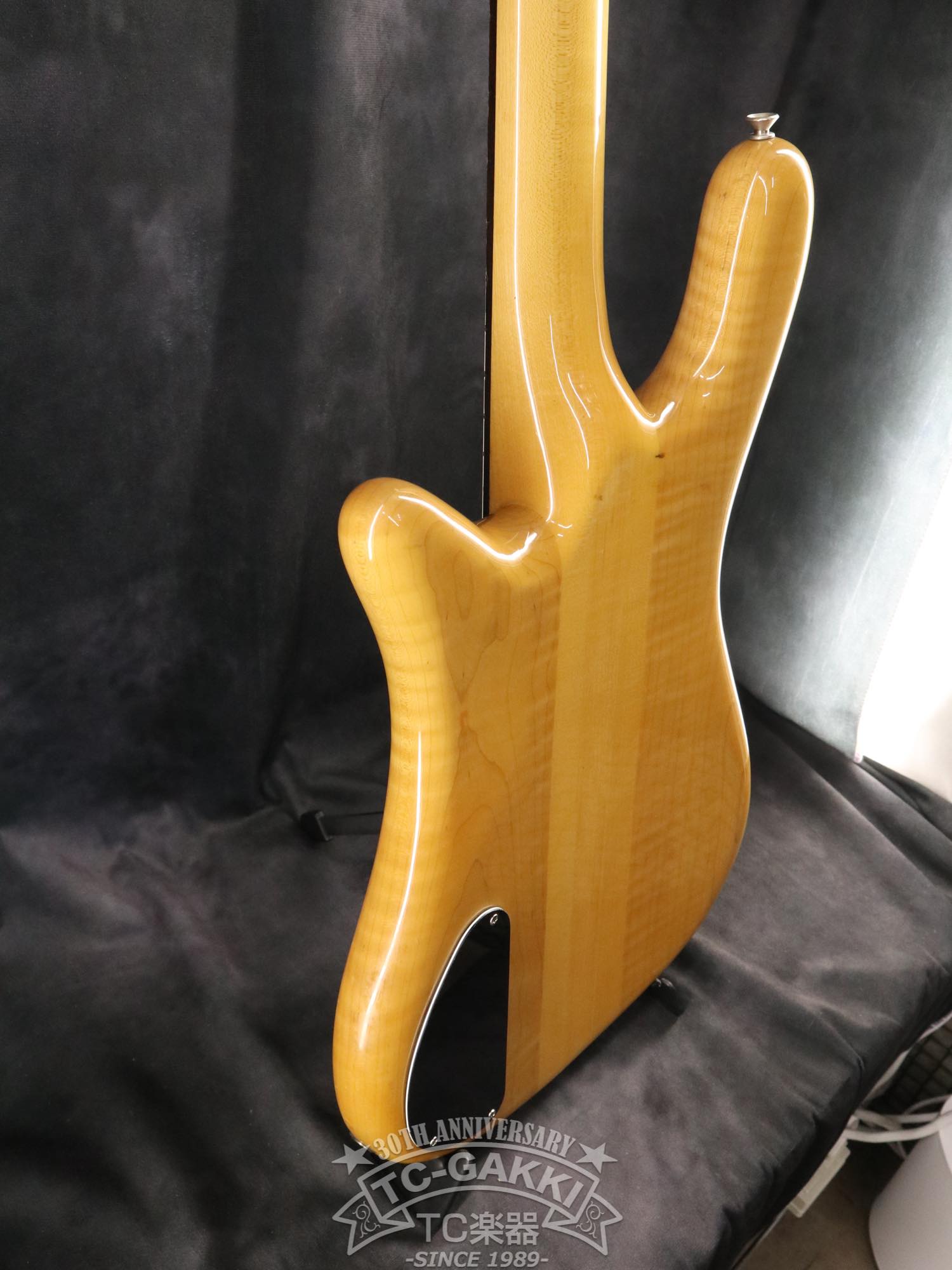 ESP Custom Order Model NS Type