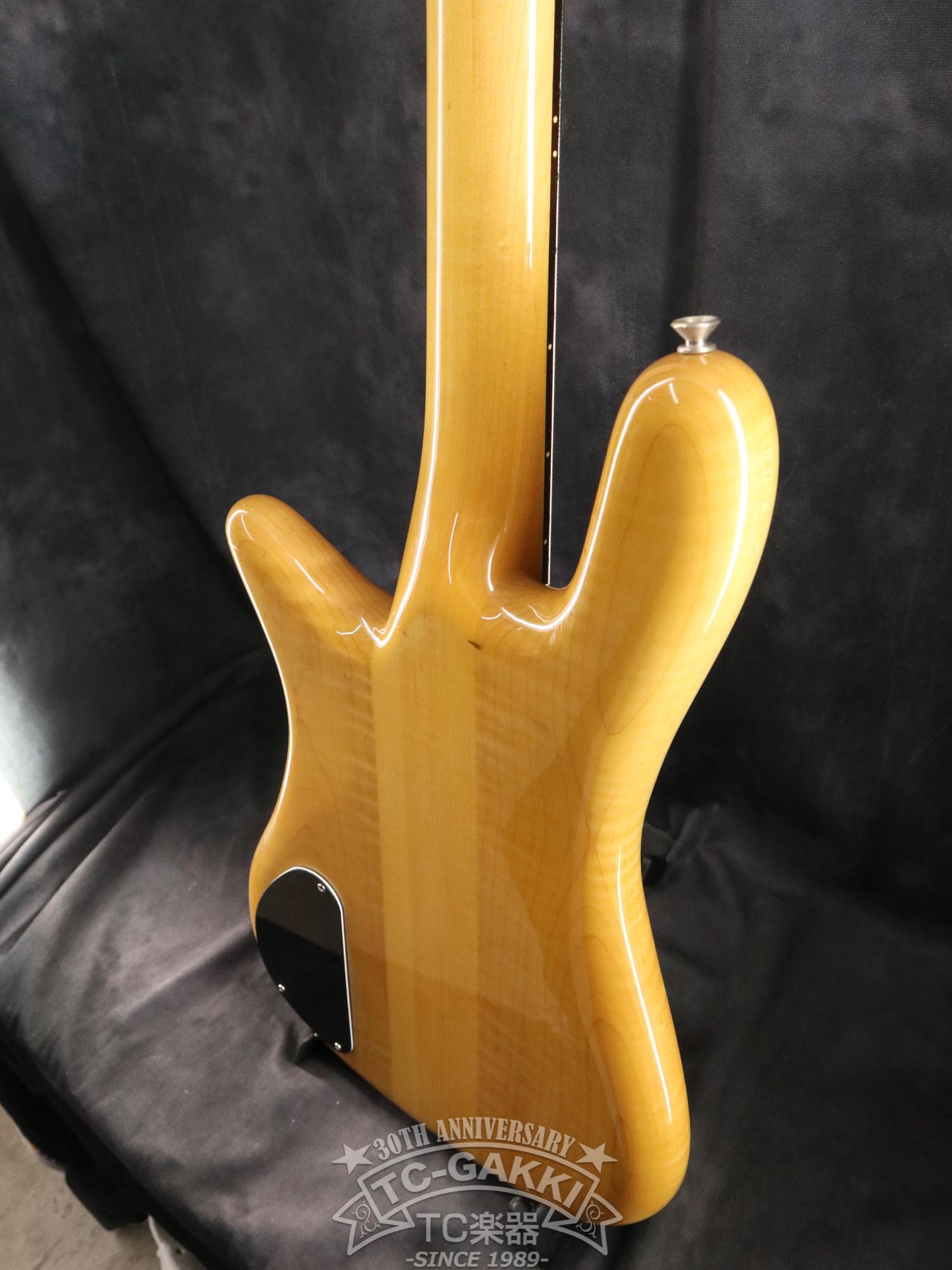 ESP Custom Order Model NS Type