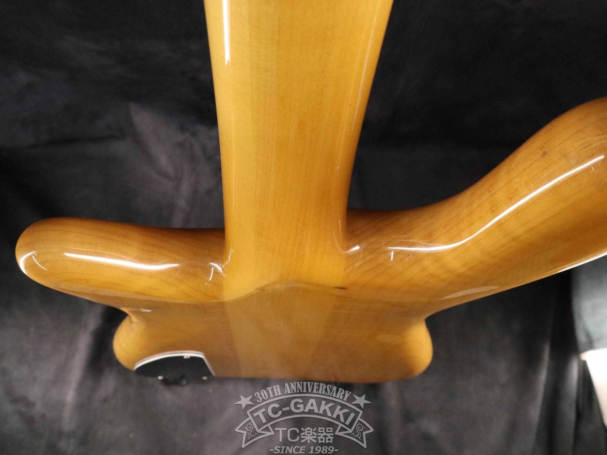 ESP Custom Order Model NS Type