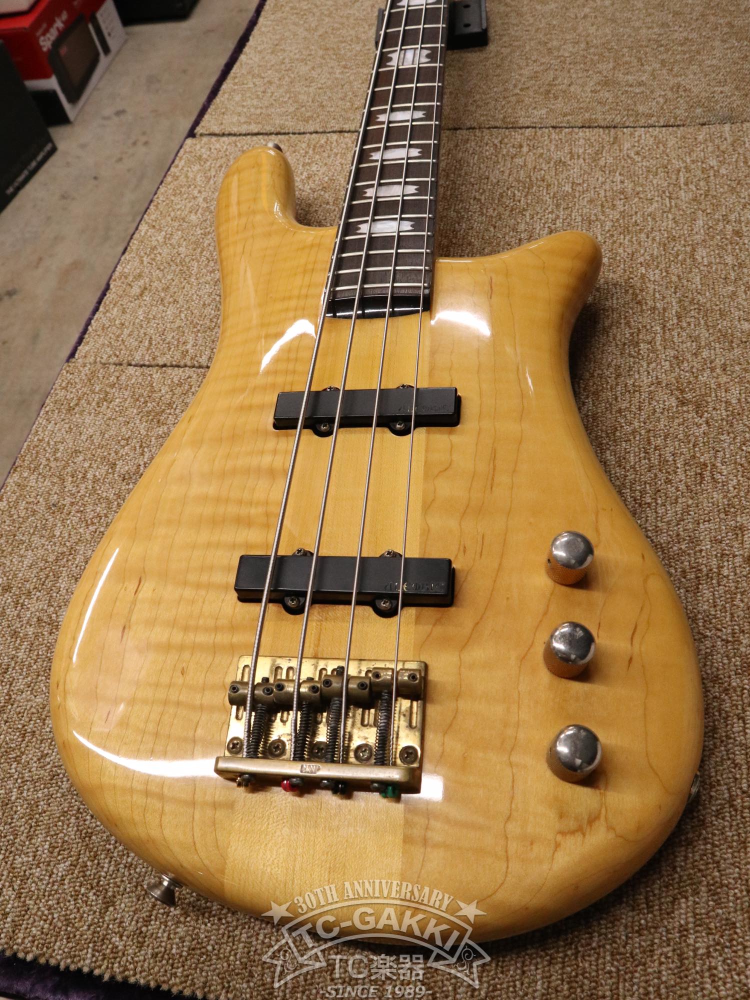 ESP Custom Order Model NS Type