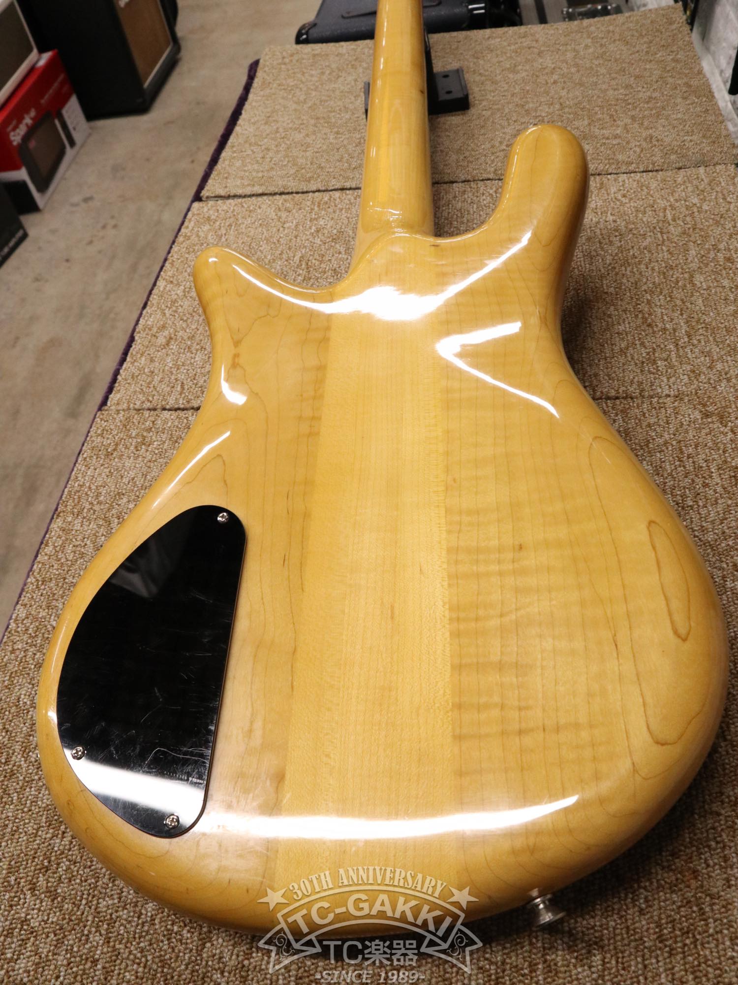 ESP Custom Order Model NS Type