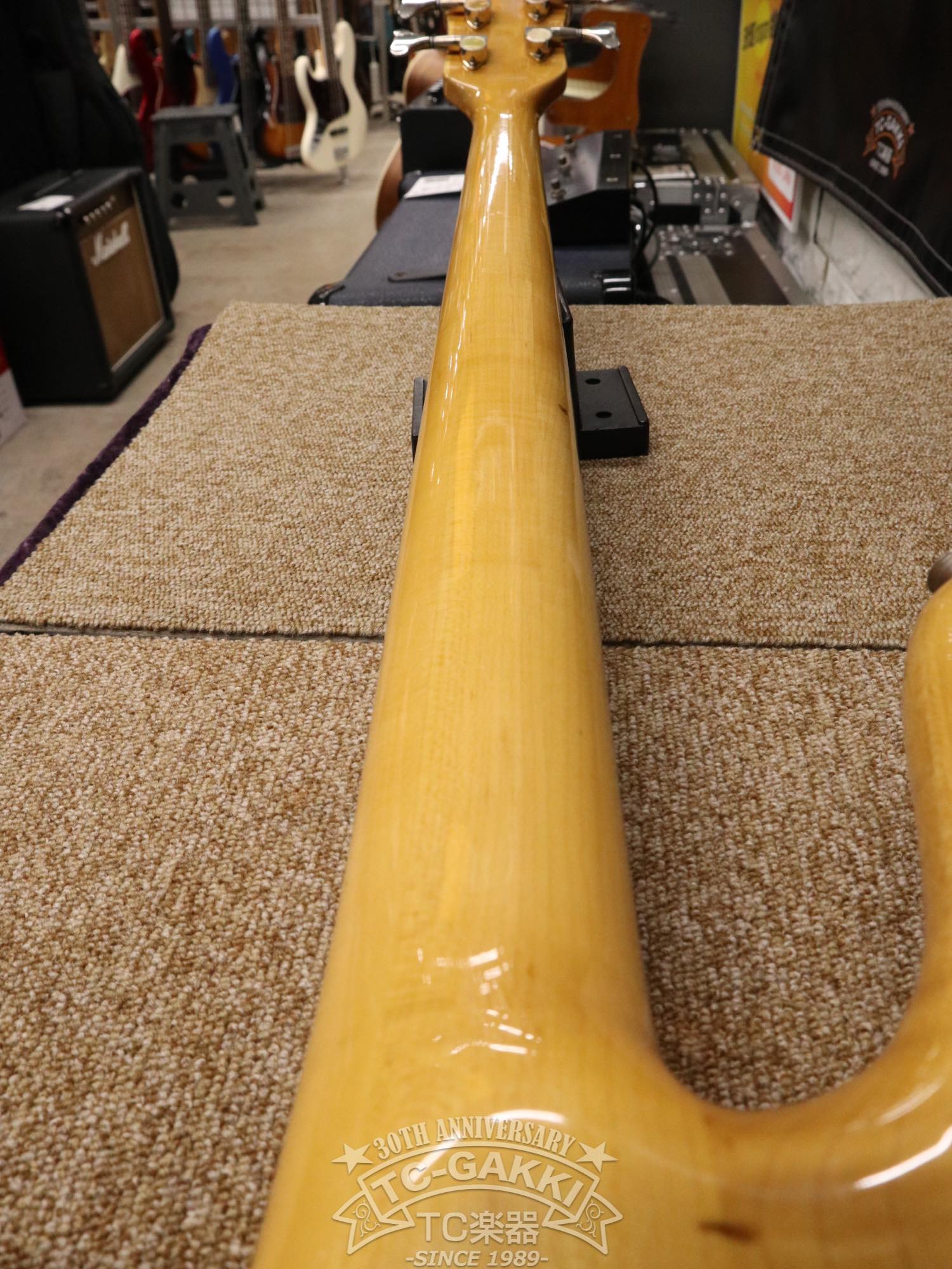 ESP Custom Order Model NS Type