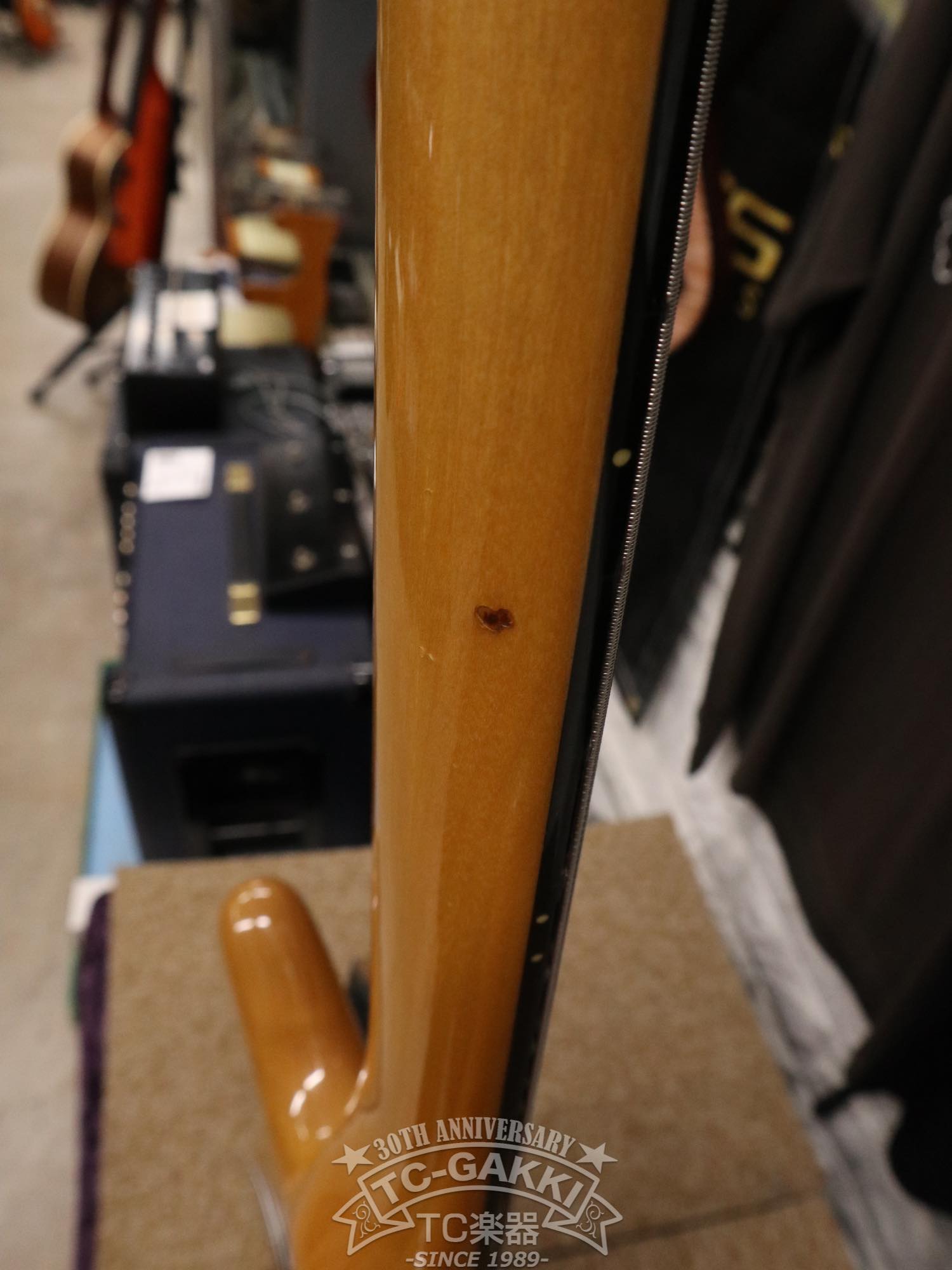 ESP Custom Order Model NS Type