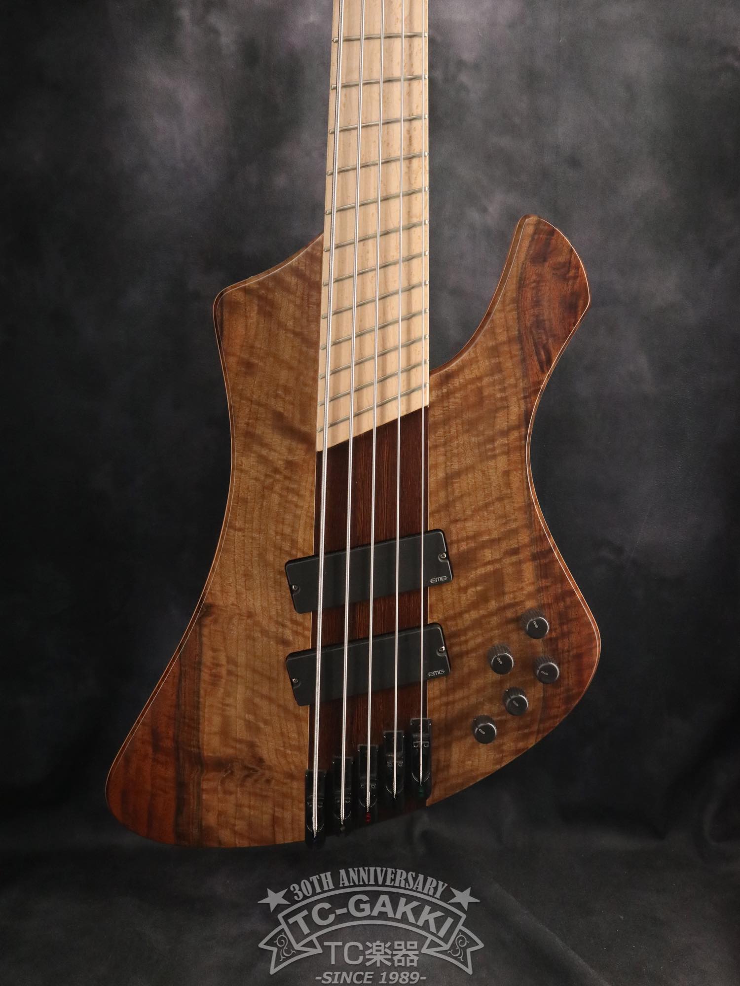 2024 Infinity Rockbird 5 strings