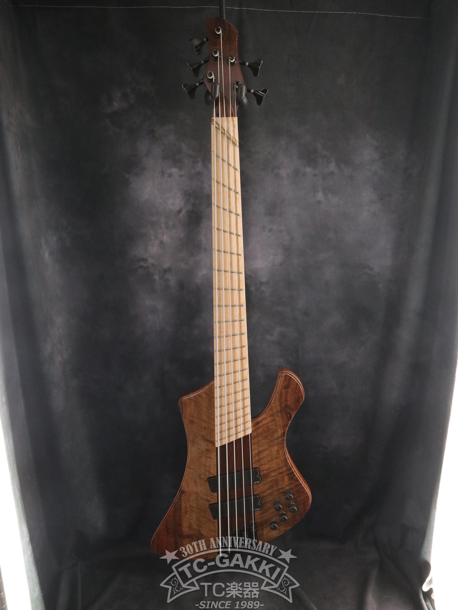 2024 Infinity Rockbird 5 strings