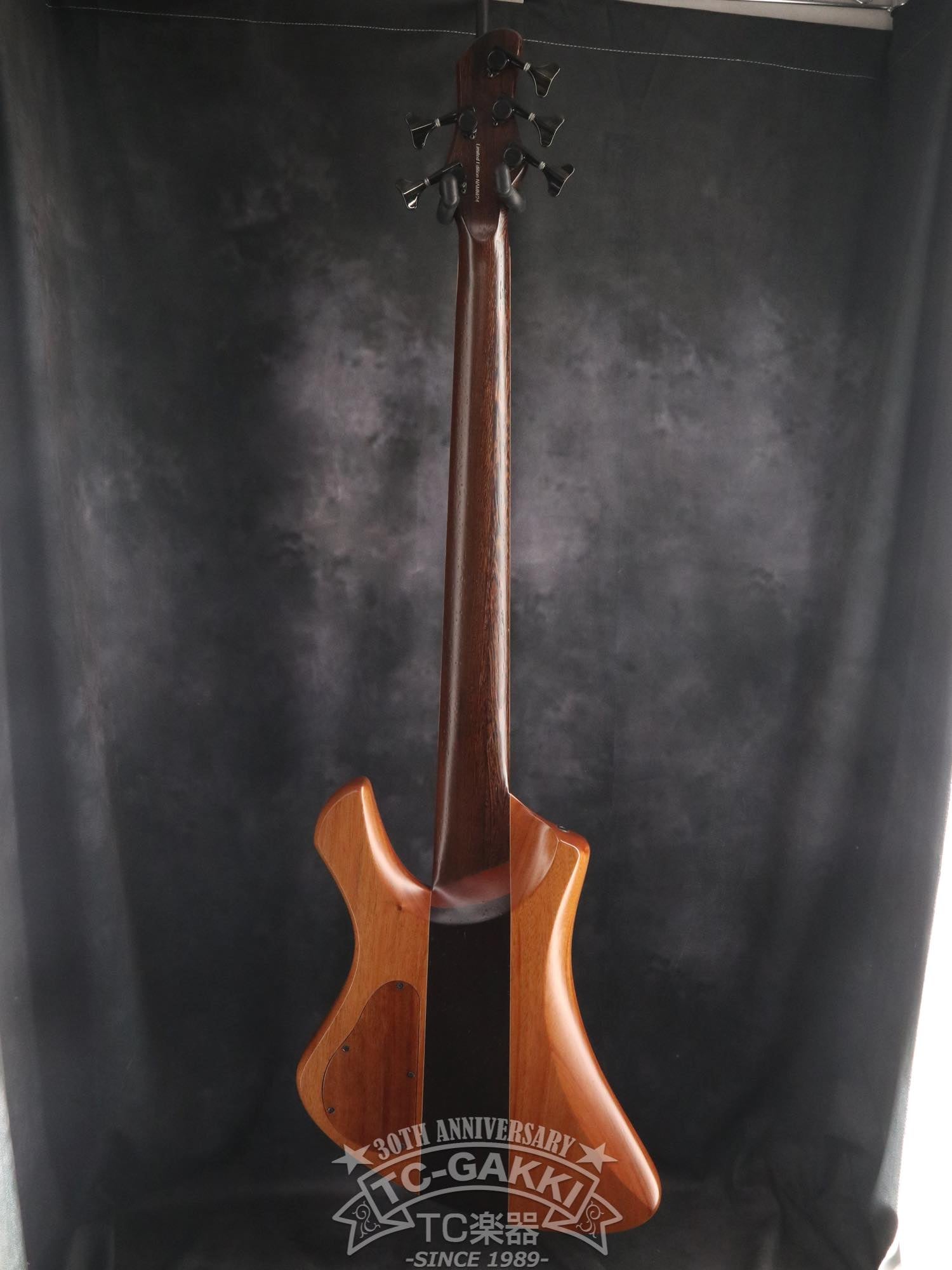 2024 Infinity Rockbird 5 strings