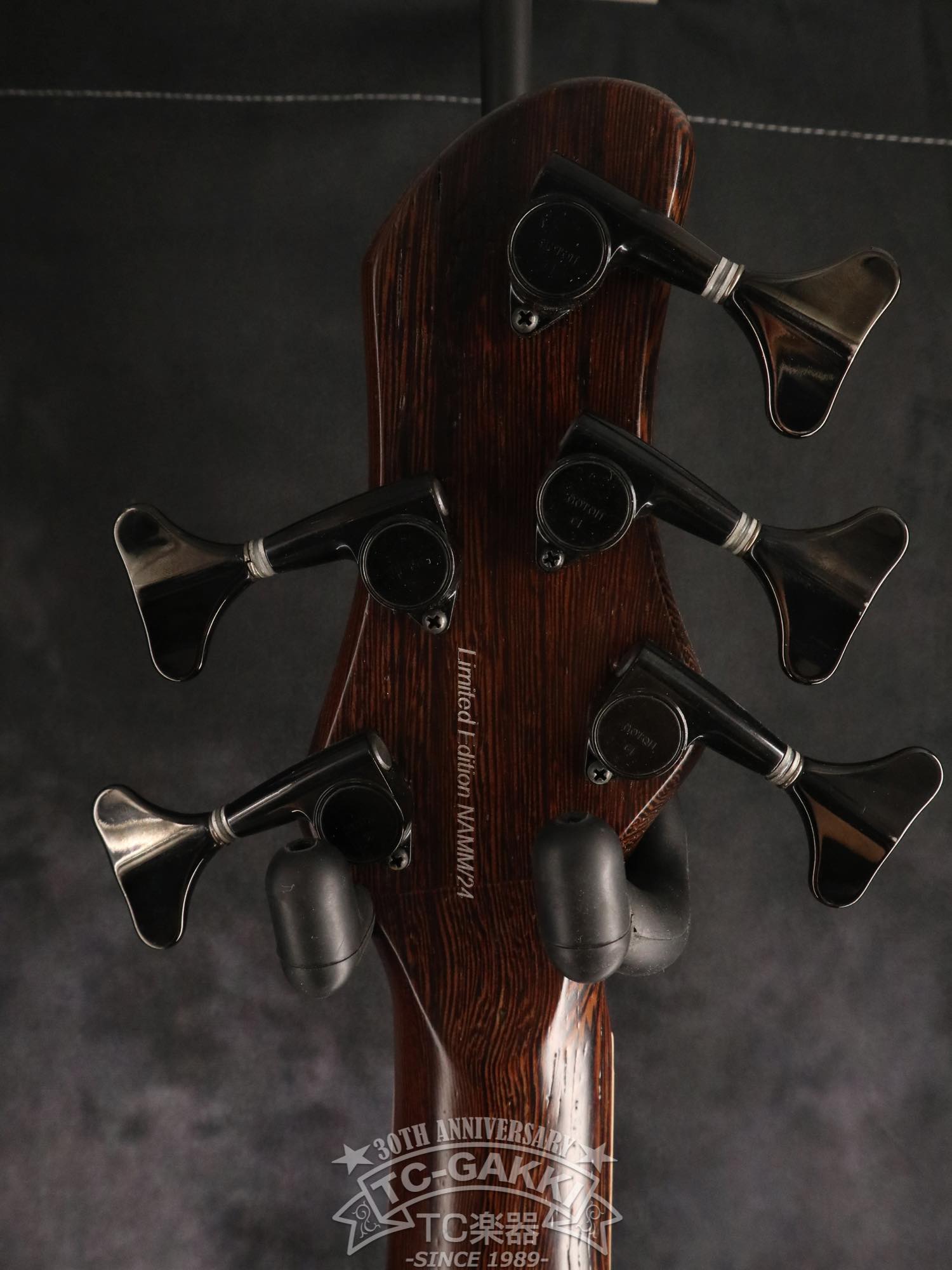 2024 Infinity Rockbird 5 strings