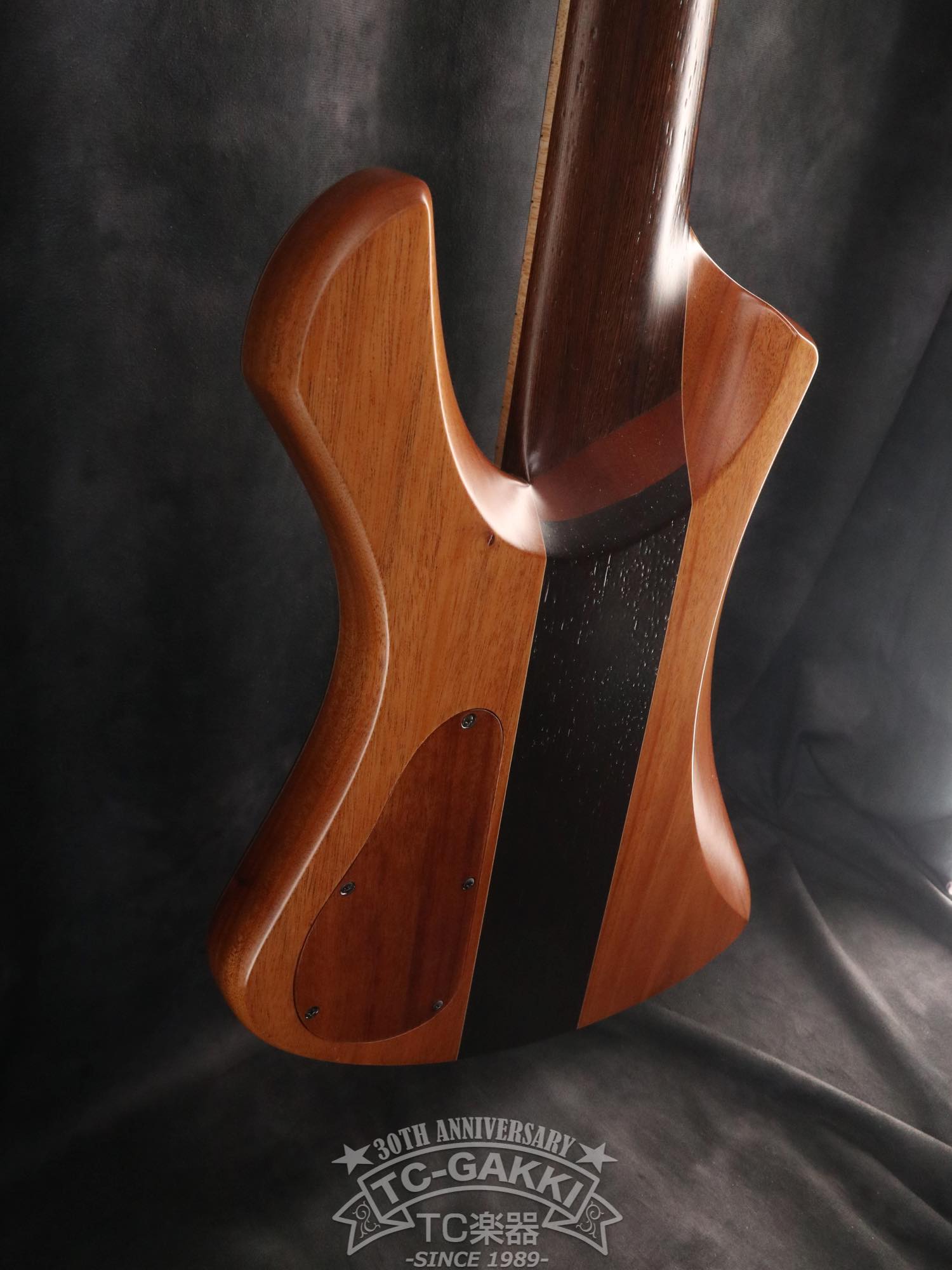 2024 Infinity Rockbird 5 strings