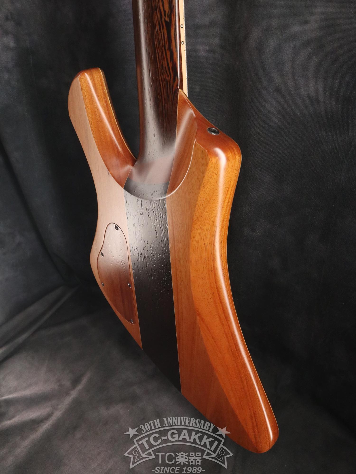 2024 Infinity Rockbird 5 strings