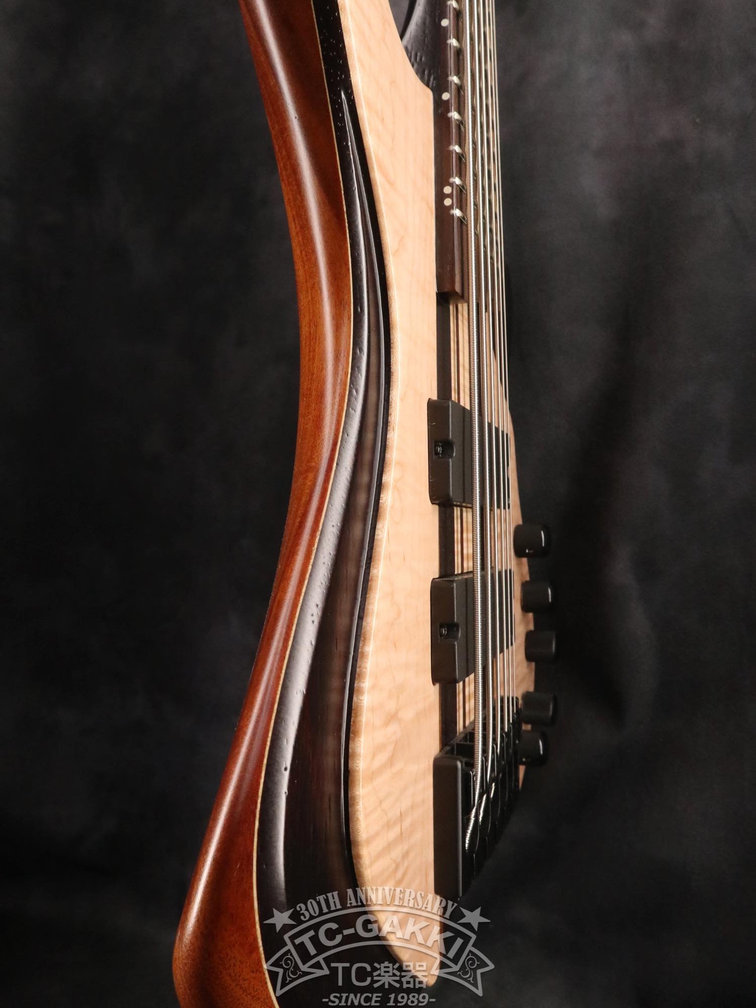 2024 Desert 6 strings - TC楽器 - TCGAKKI