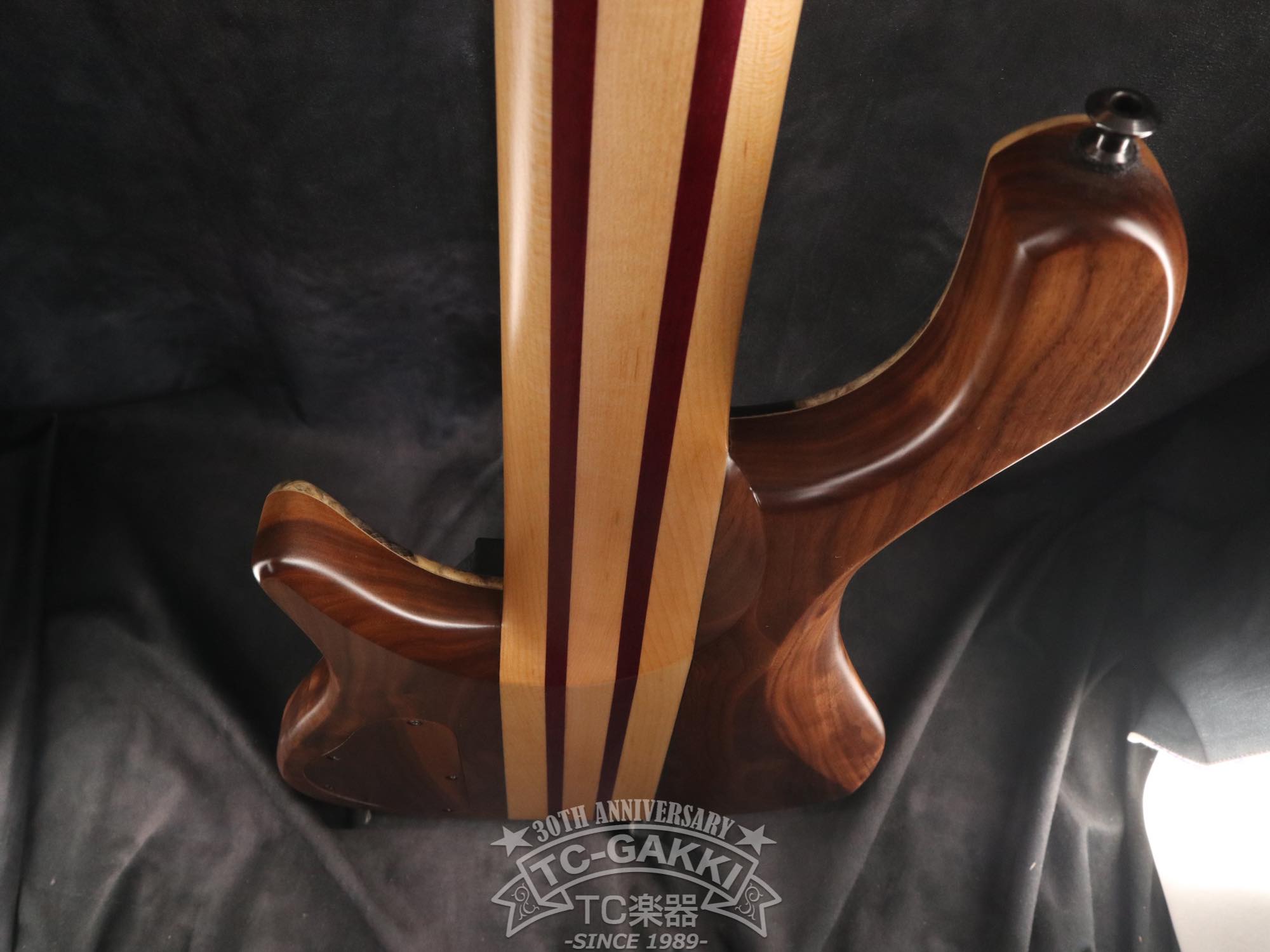 2024 Africa 5 Strings