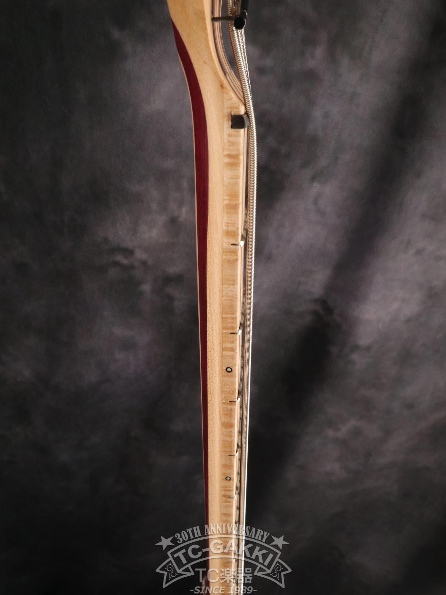 2024 Africa 5 Strings