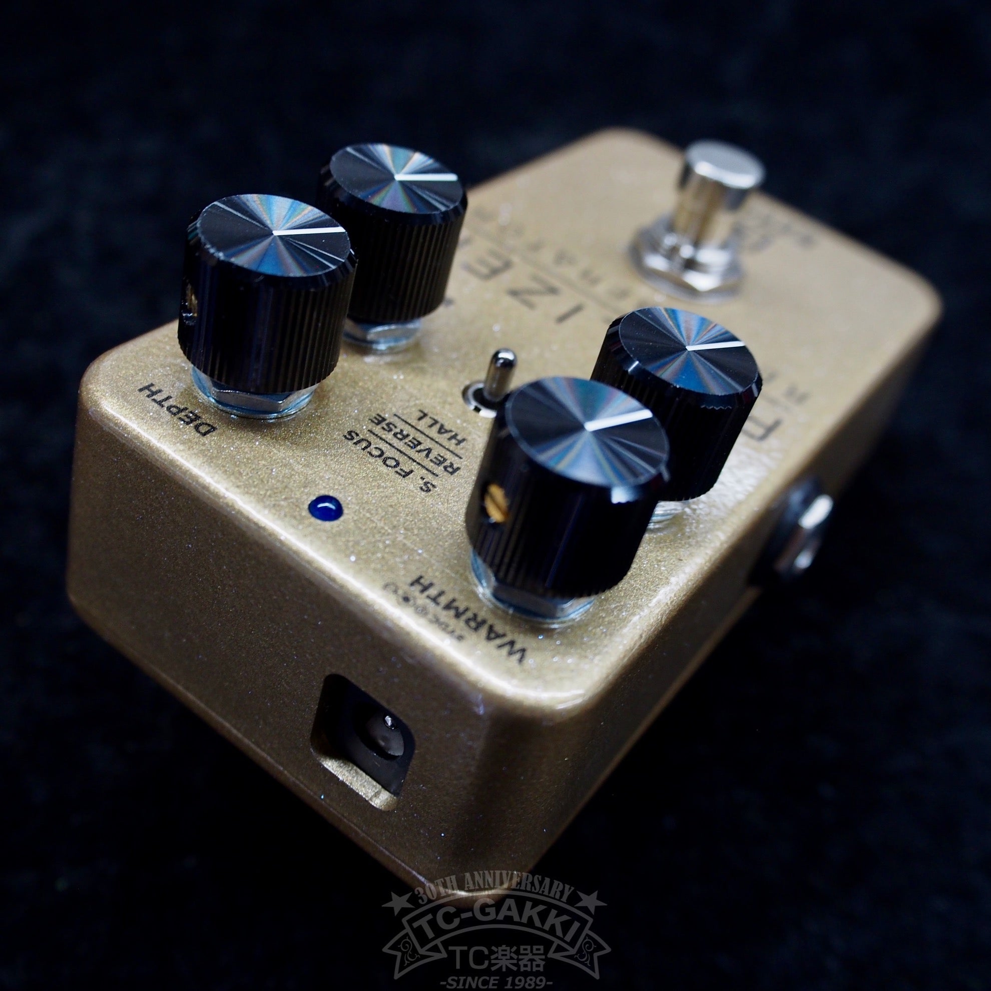 REALIZER REVERBERATOR - TC楽器 - TCGAKKI