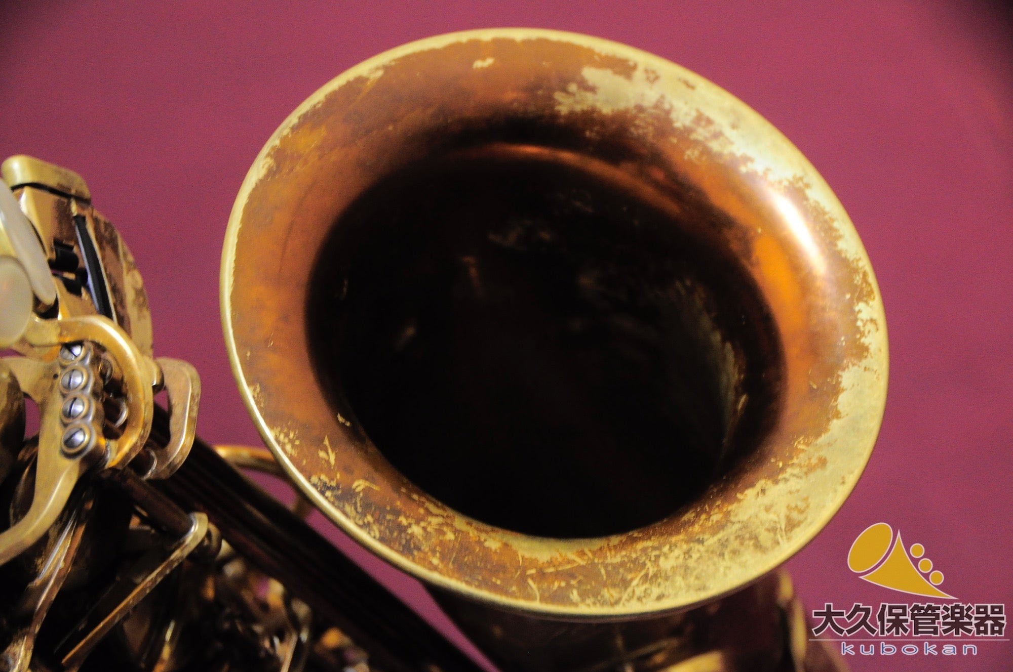 セルマー・パリ Reference 54 アルトサクソフォン