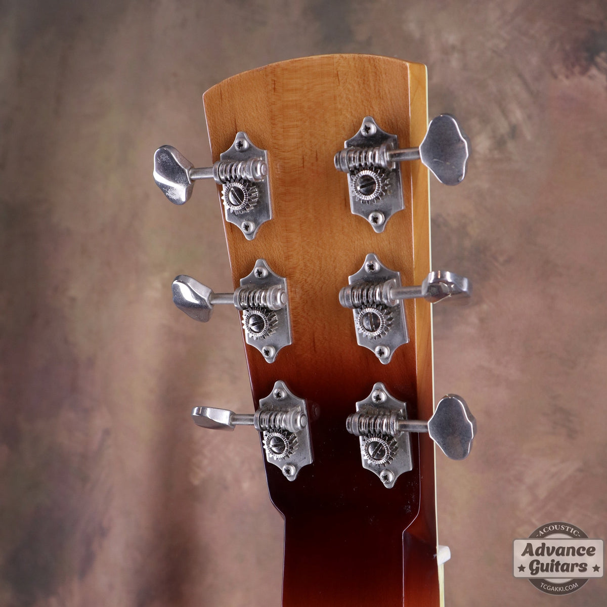 Regal RD-64 - TC楽器 - TCGAKKI