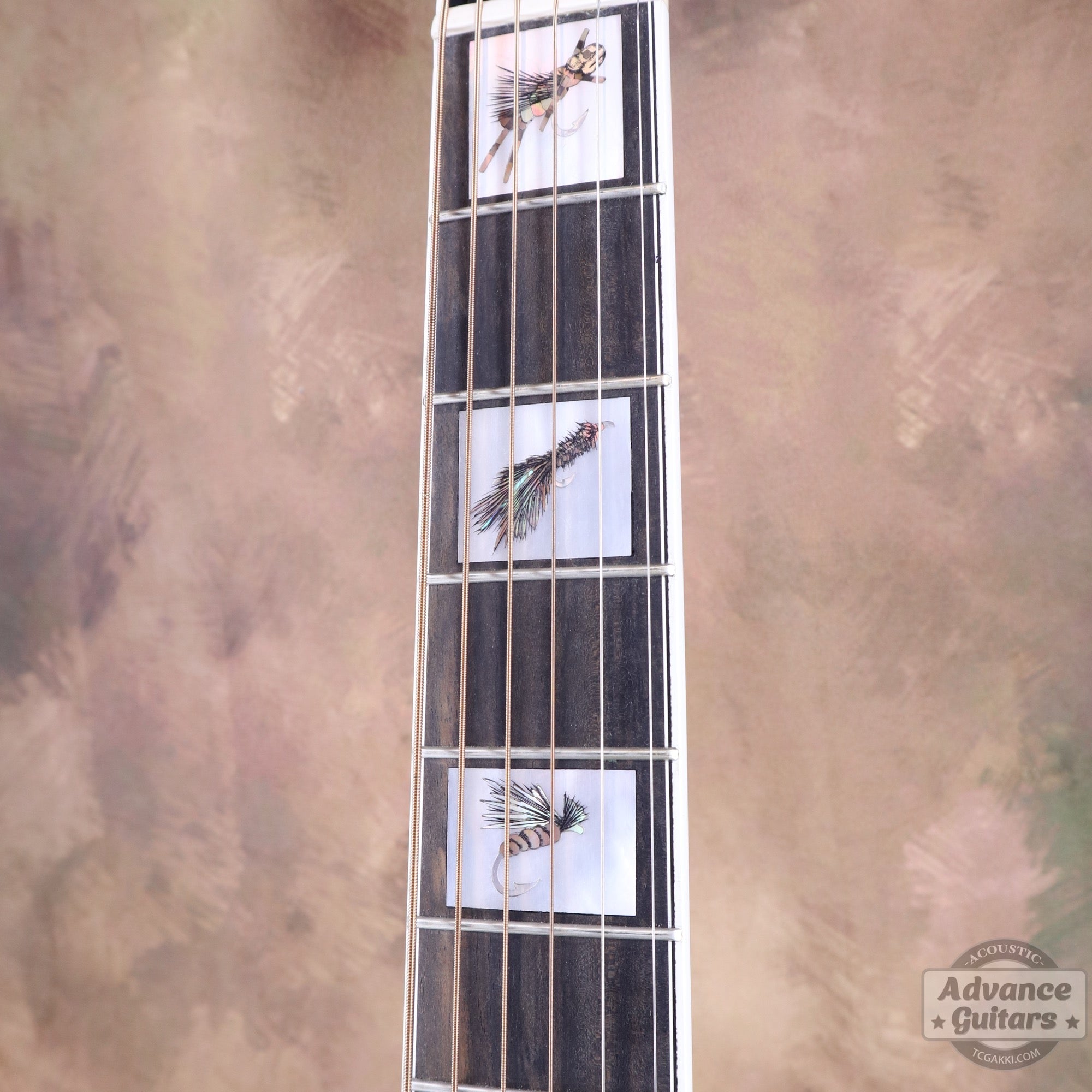 Ren Ferguson【新品】Montana Rivers Masterpieces MT - Jumbo 3 - TC楽器 - TCGAKKI