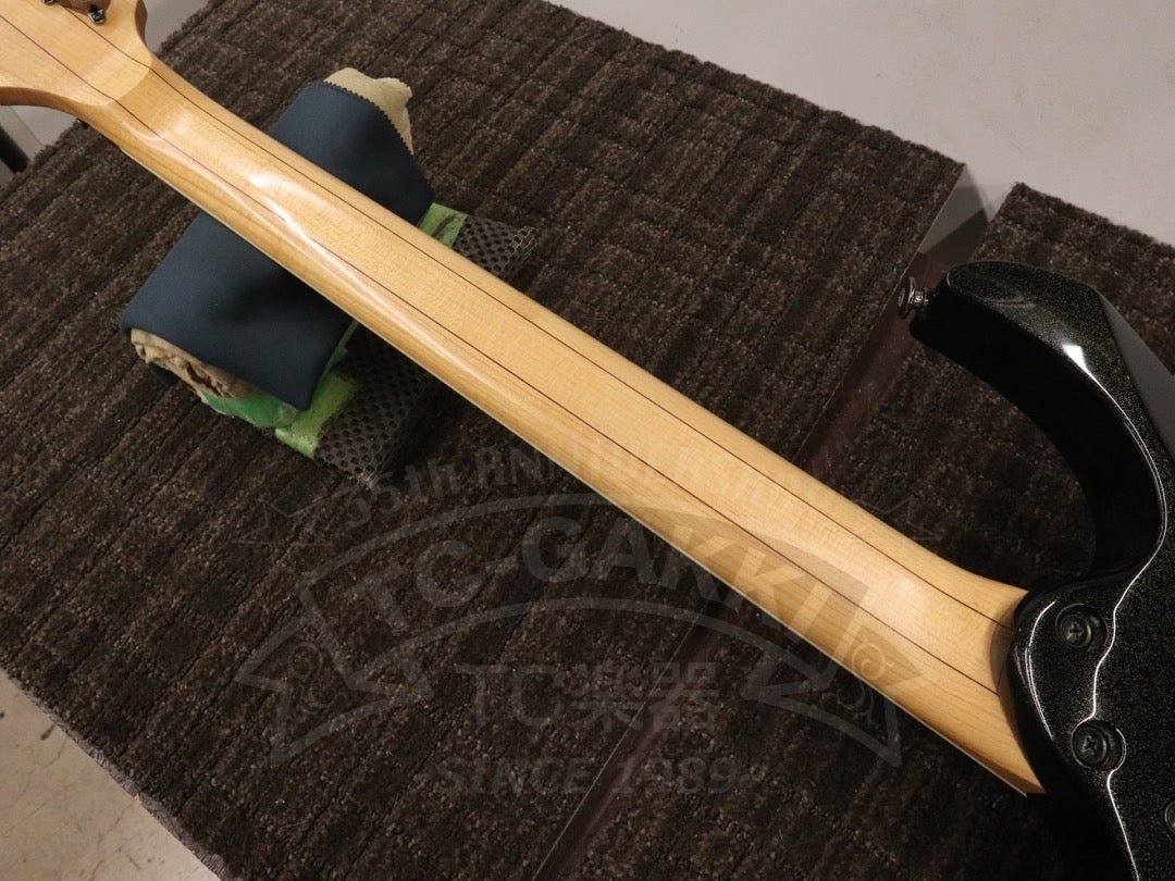 RG2570 - TC楽器 - TCGAKKI