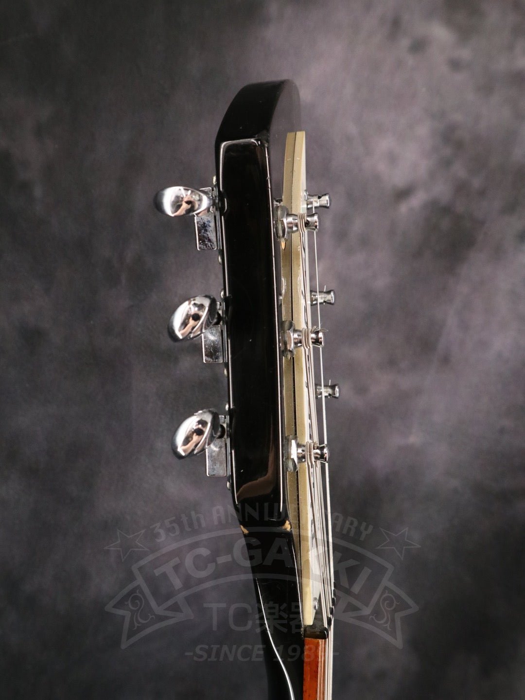 Rickenbacker 325v63 - TC楽器 - TCGAKKI