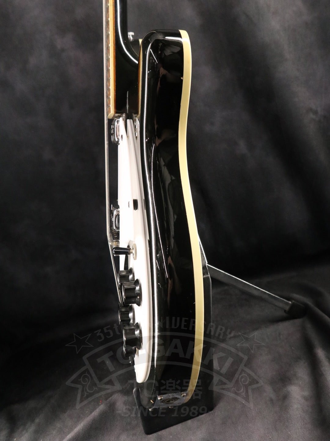 Rickenbacker 360