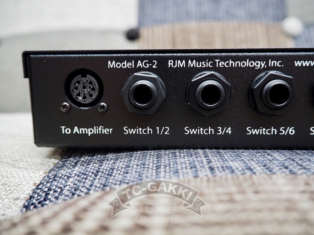 rjm Amp Gizmo - TC楽器 - TCGAKKI