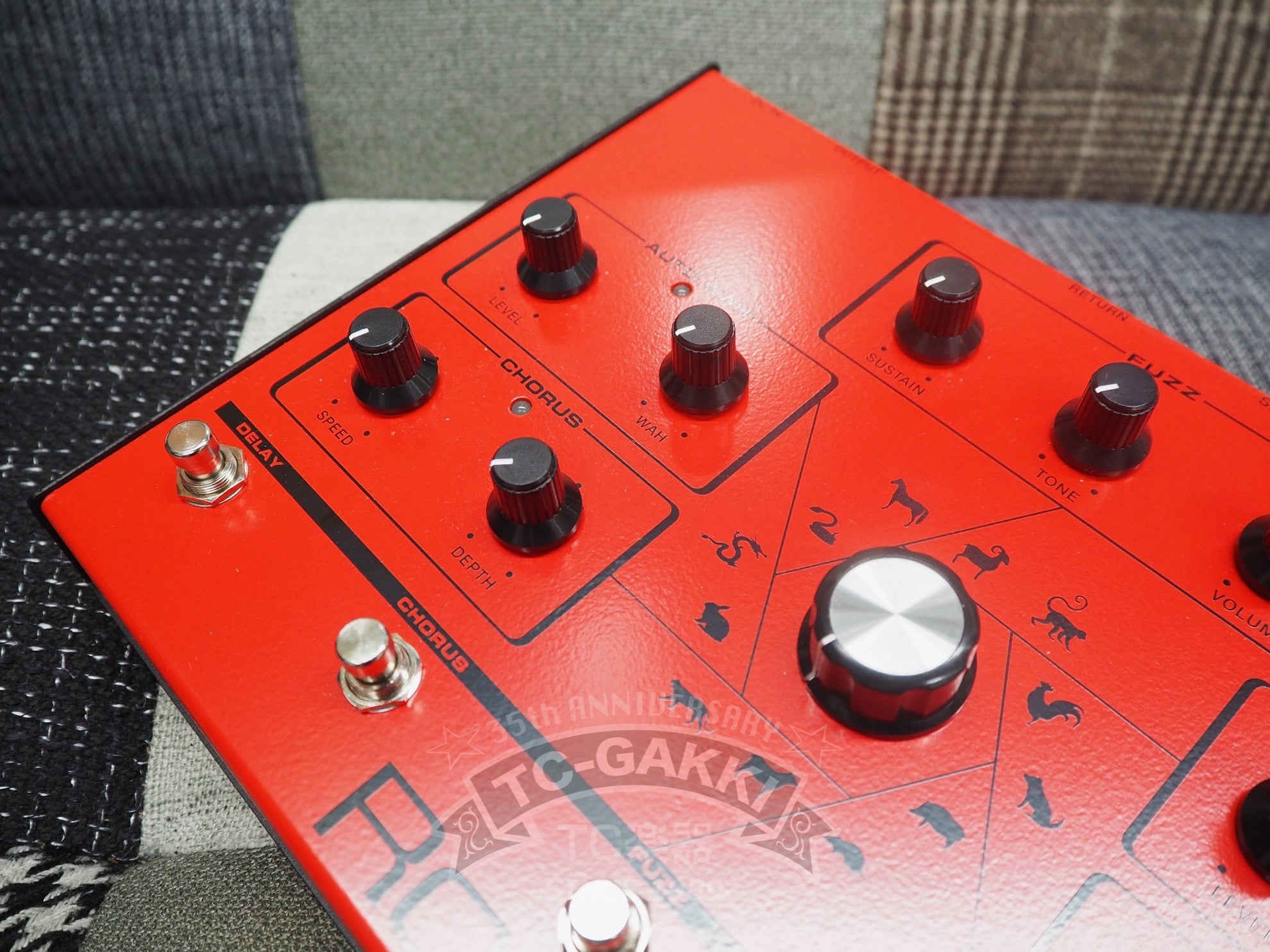 ROCK+ Effector (Red)