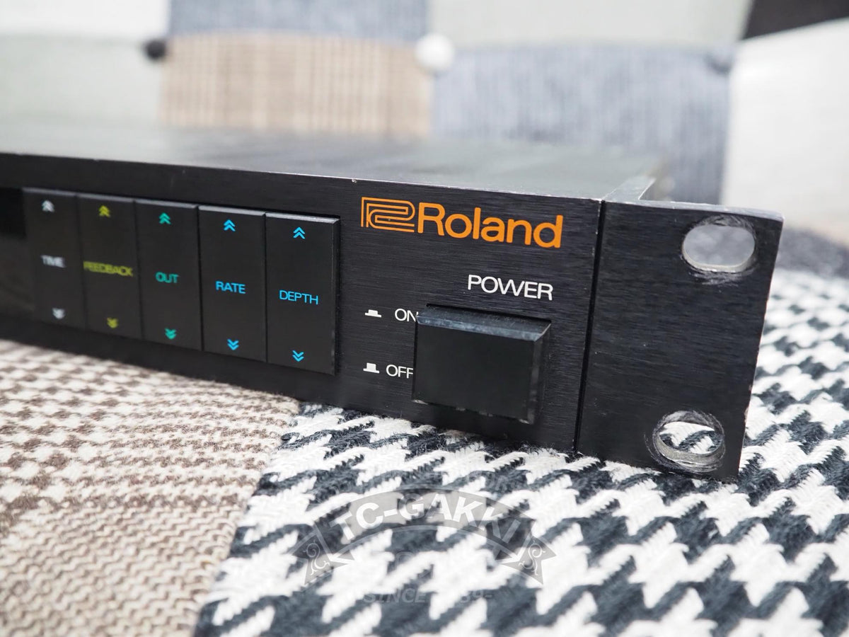 Roland SDE-3000 DIGITAL DELAY - TC楽器 - TCGAKKI