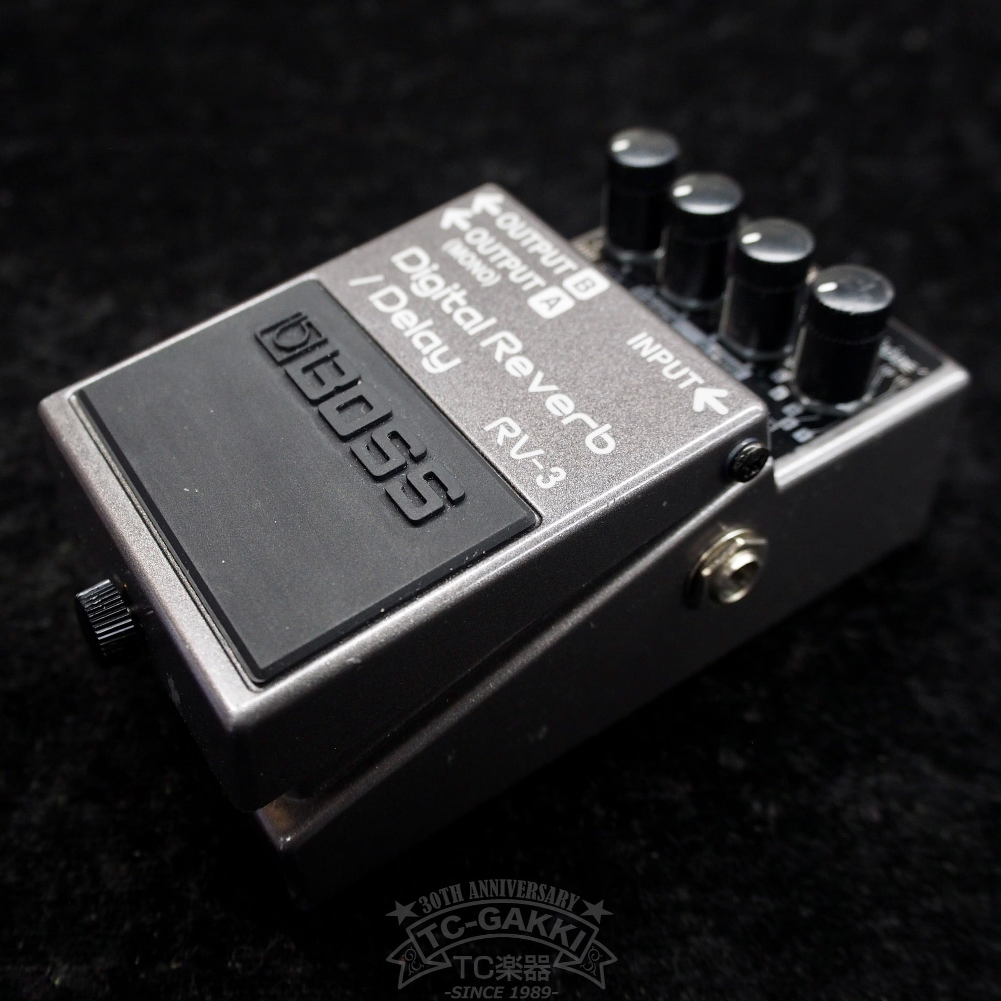 RV - 3 Digital Reverb/Delay - TC楽器 - TCGAKKI