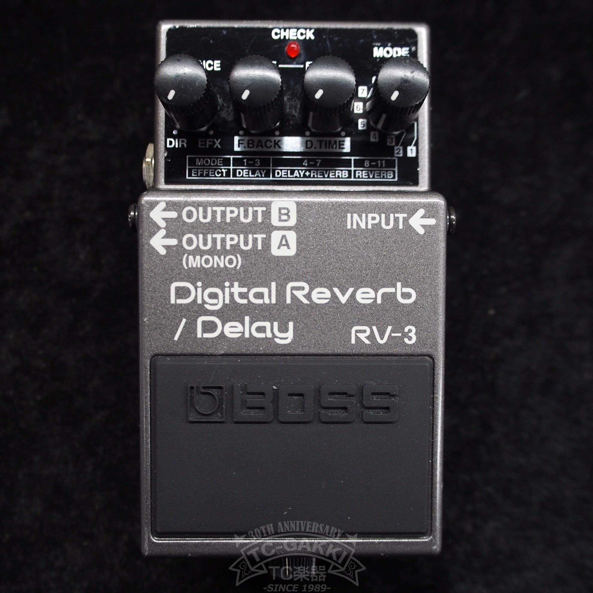 RV - 3 Digital Reverb/Delay - TC楽器 - TCGAKKI