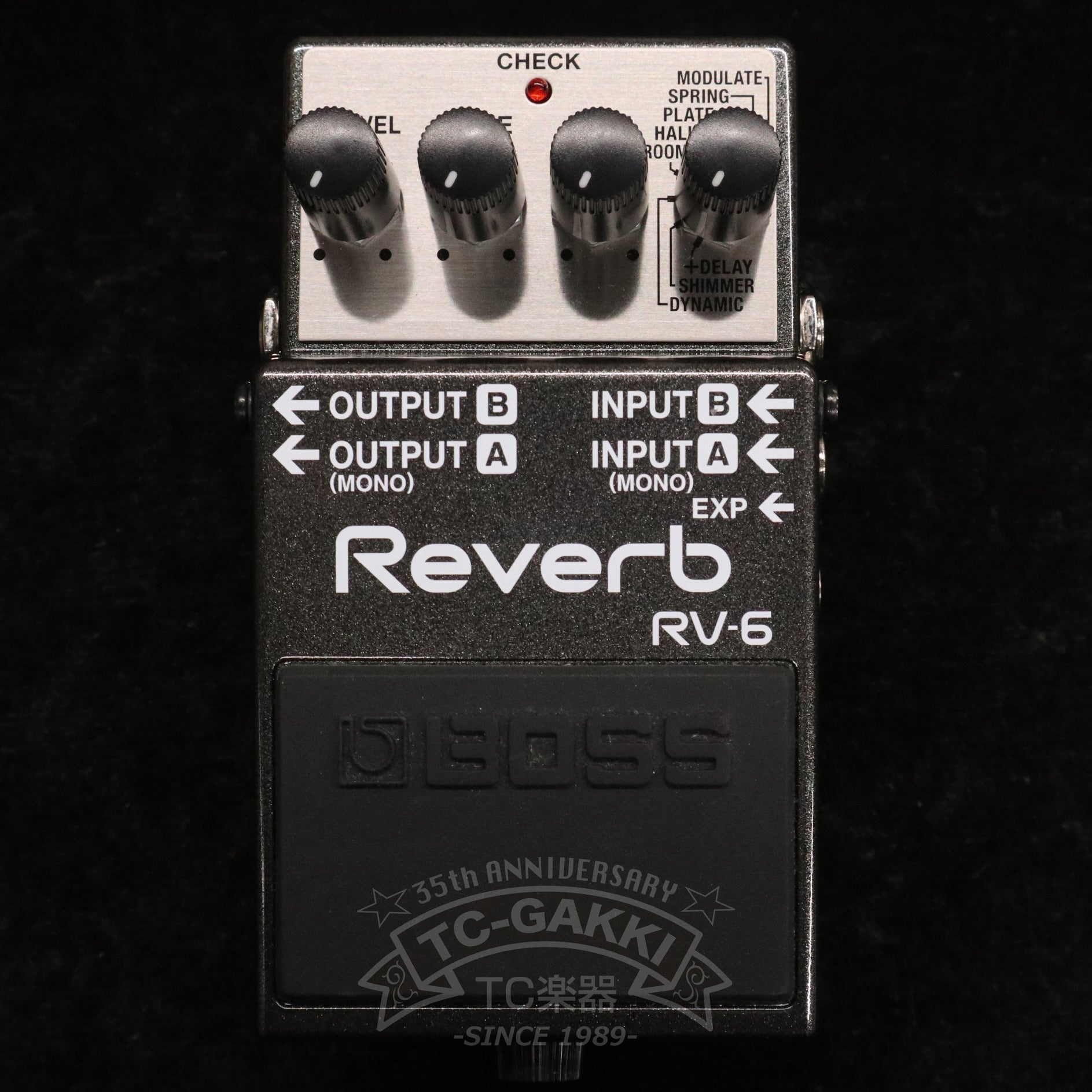 RV - 6 Reverb - TC楽器 - TCGAKKI