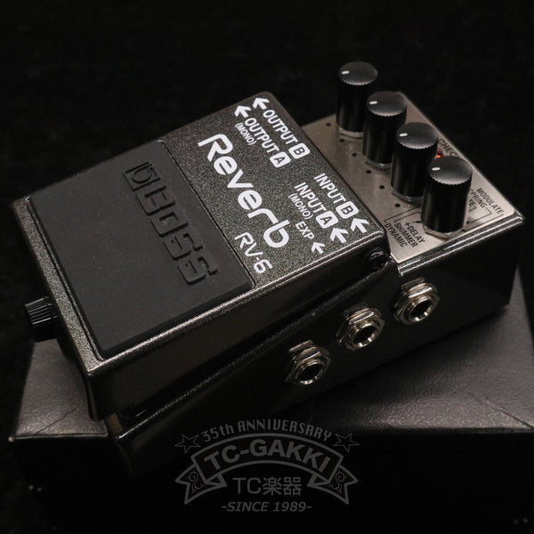 RV-6 Reverb