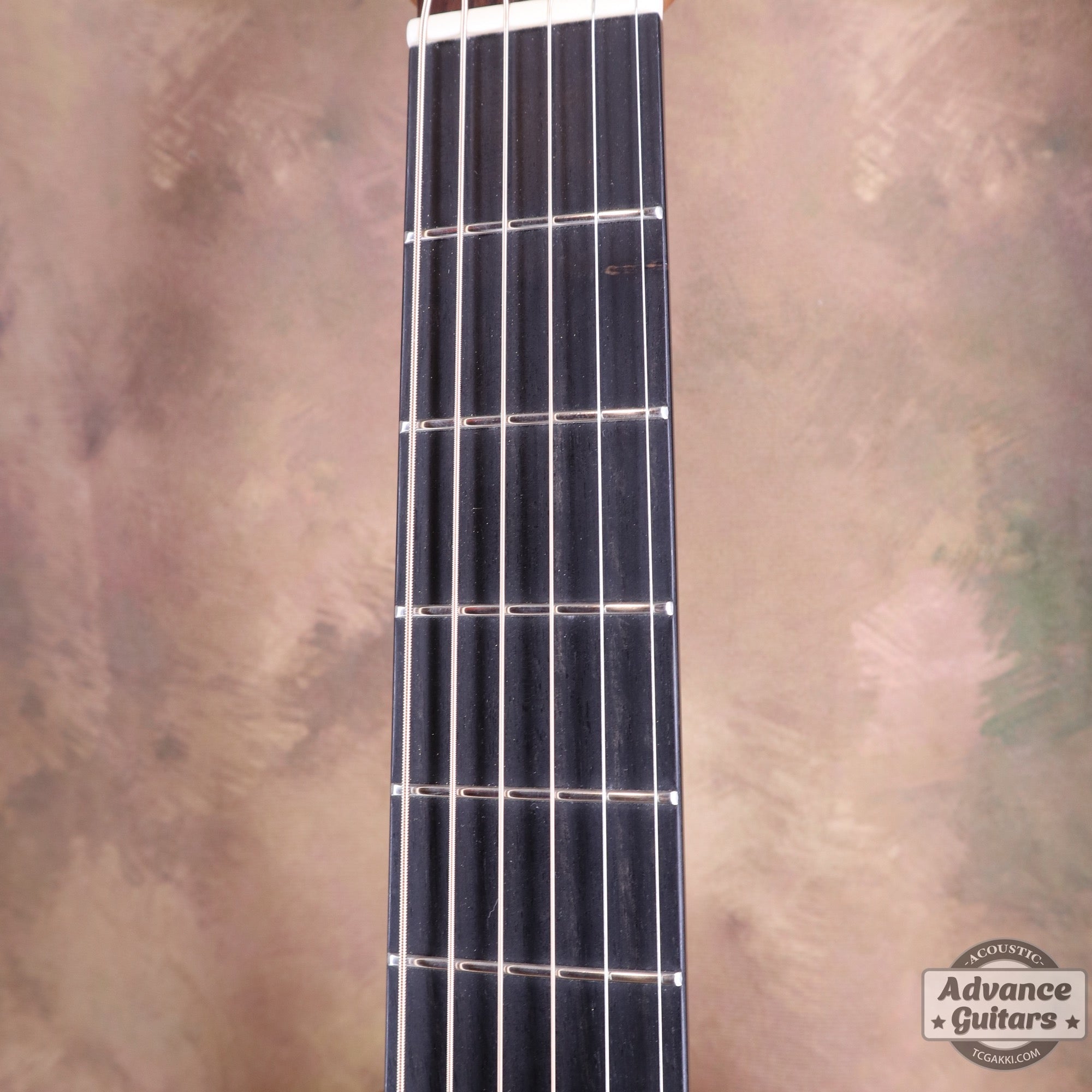 S - 32C - TC楽器 - TCGAKKI