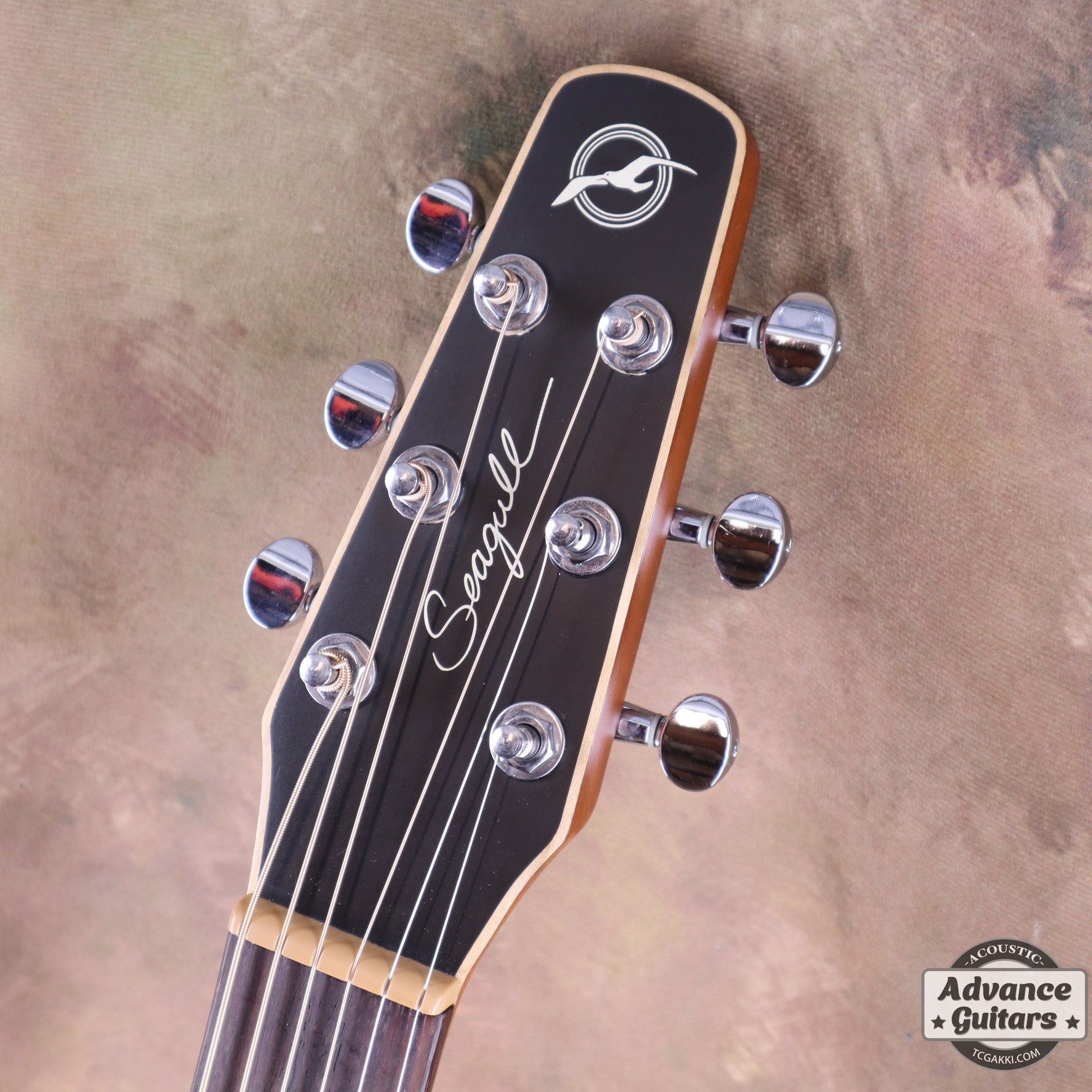 S6 Slim - TC楽器 - TCGAKKI