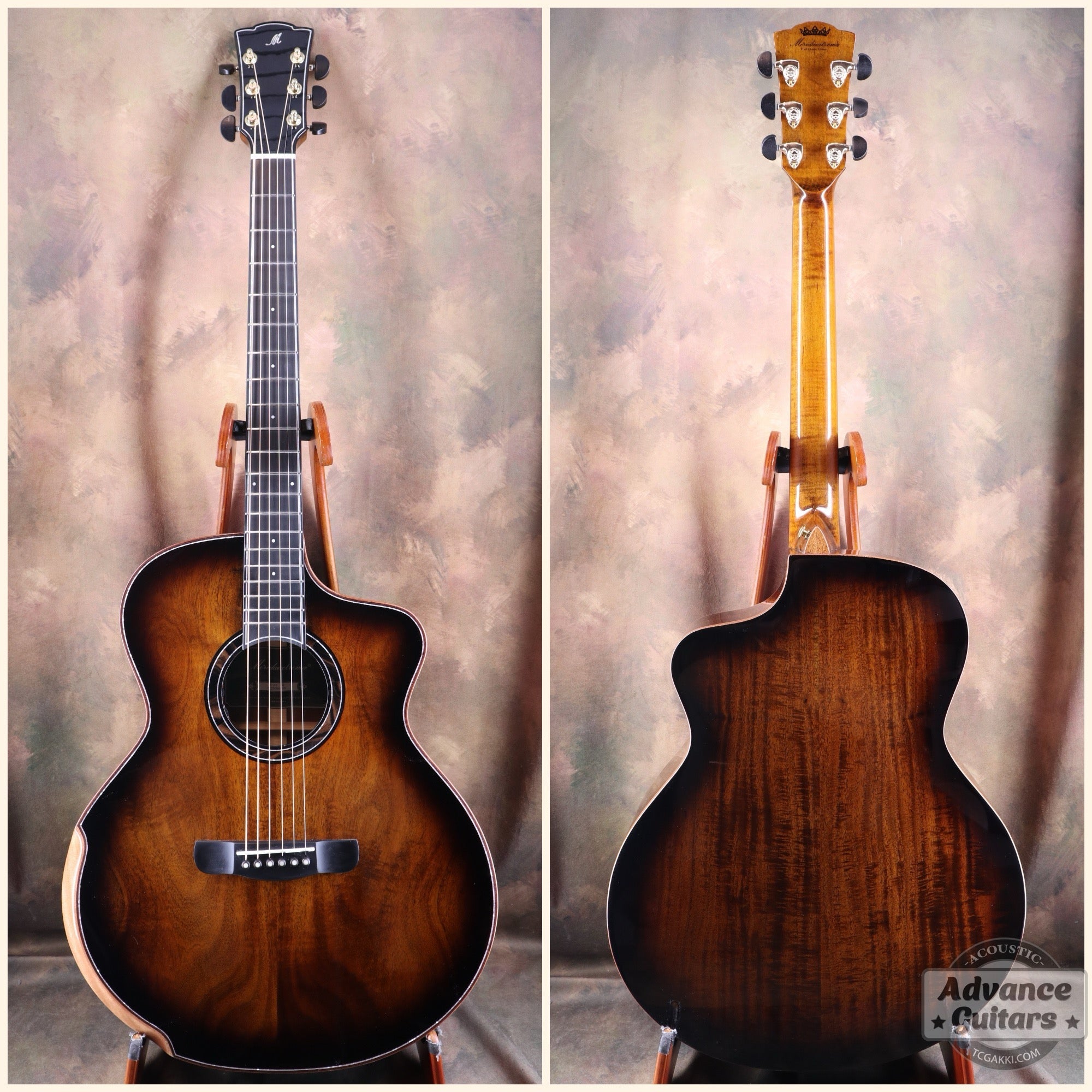 ピックアップ搭載・エレアコ