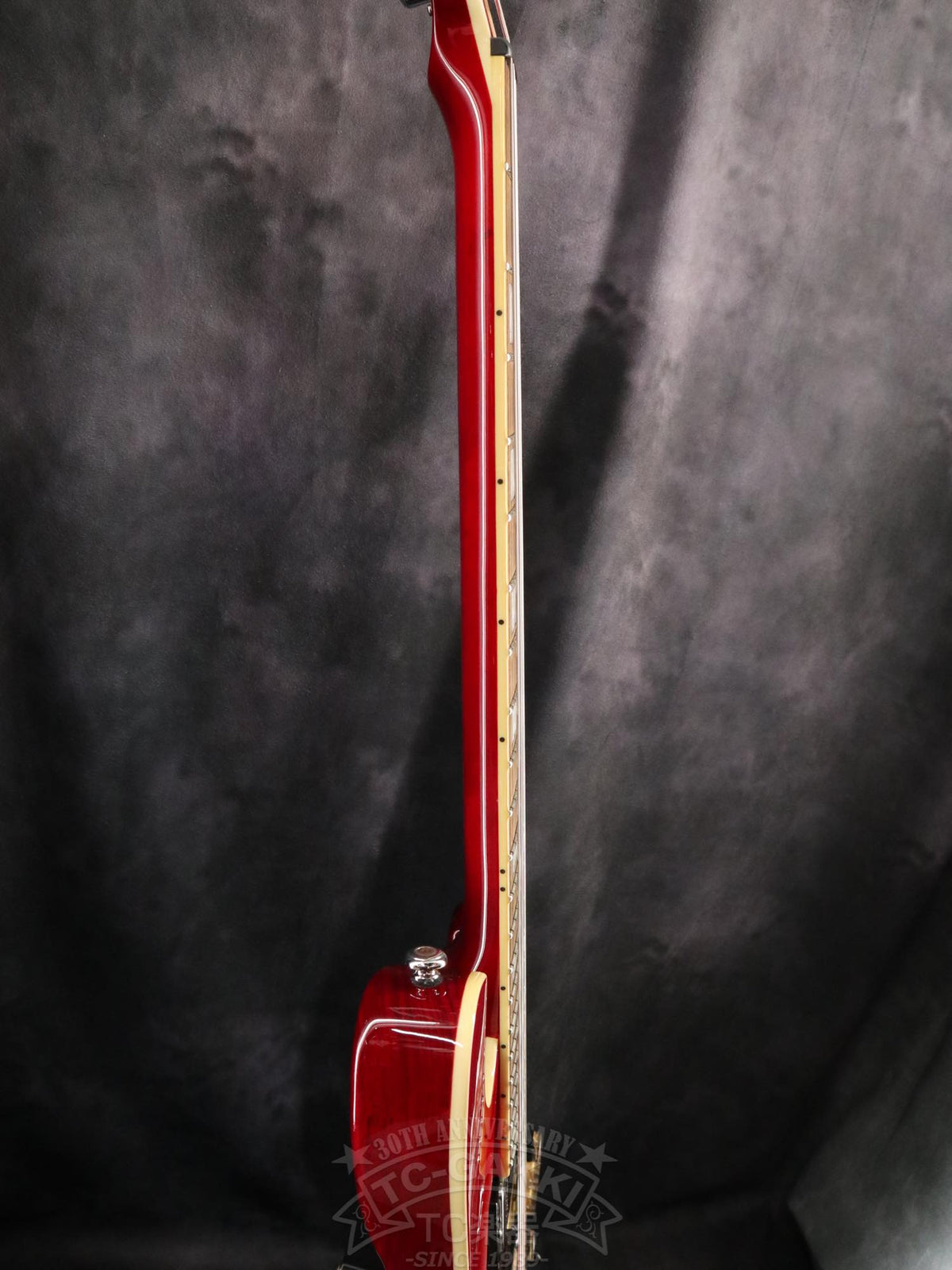 Schecter Stargazer AD-SGZ-6 - TC楽器 - TCGAKKI
