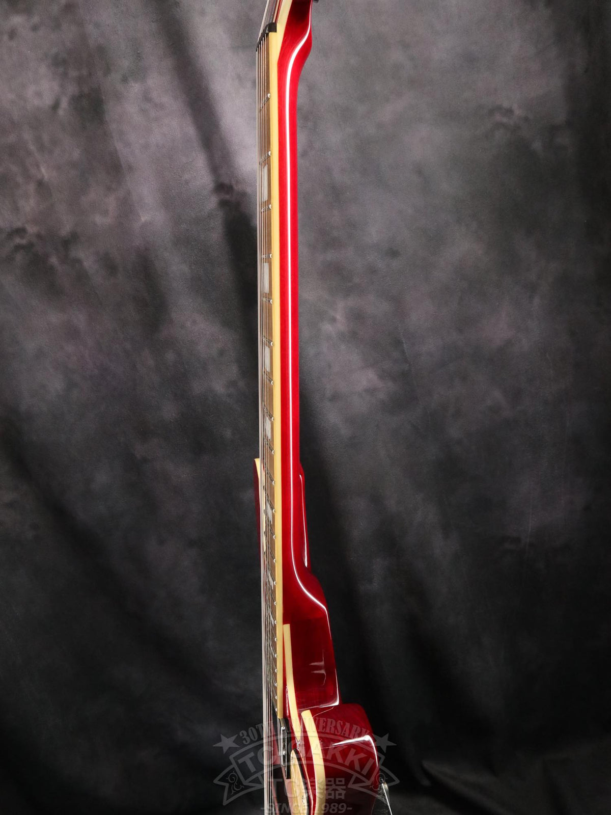 Schecter Stargazer AD-SGZ-6 - TC楽器 - TCGAKKI
