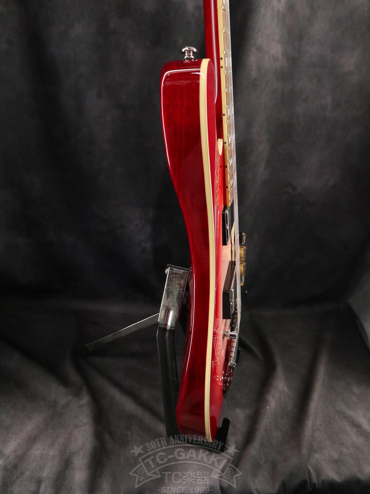 Schecter Stargazer AD-SGZ-6 - TC楽器 - TCGAKKI