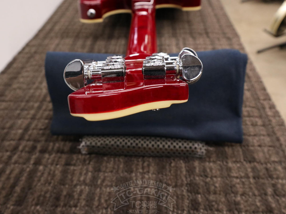 Schecter Stargazer AD-SGZ-6 - TC楽器 - TCGAKKI