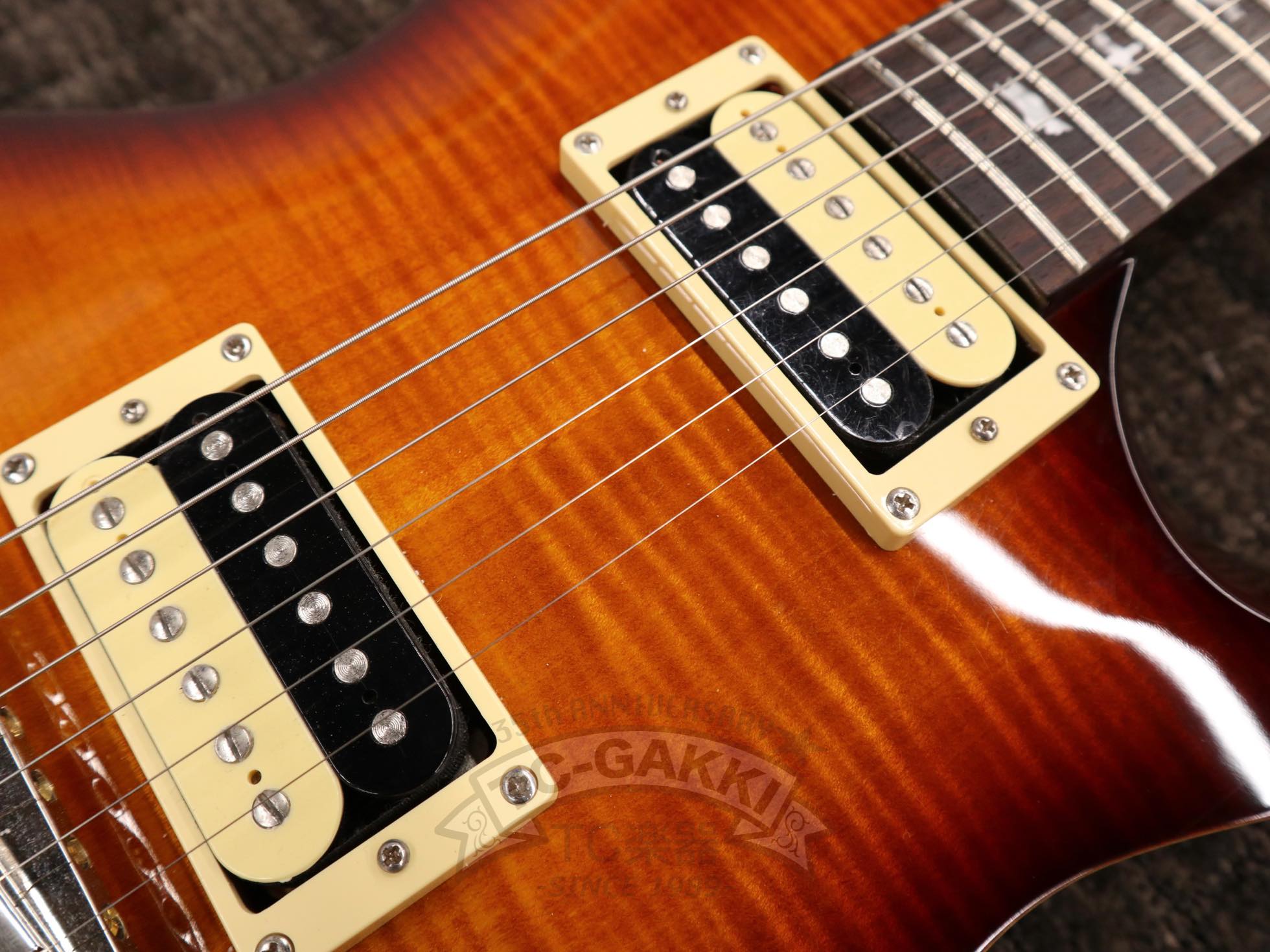 SE 245 STANDARD - TC楽器 - TCGAKKI