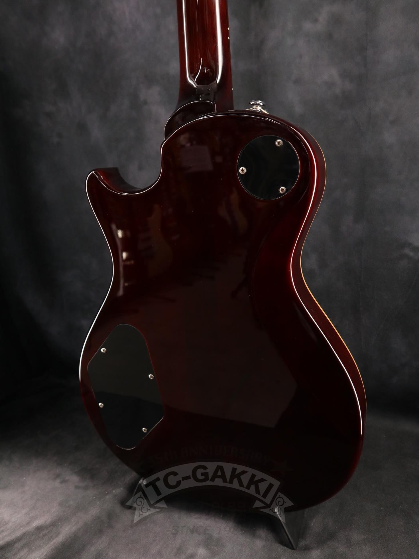 SE 245 STANDARD - TC楽器 - TCGAKKI