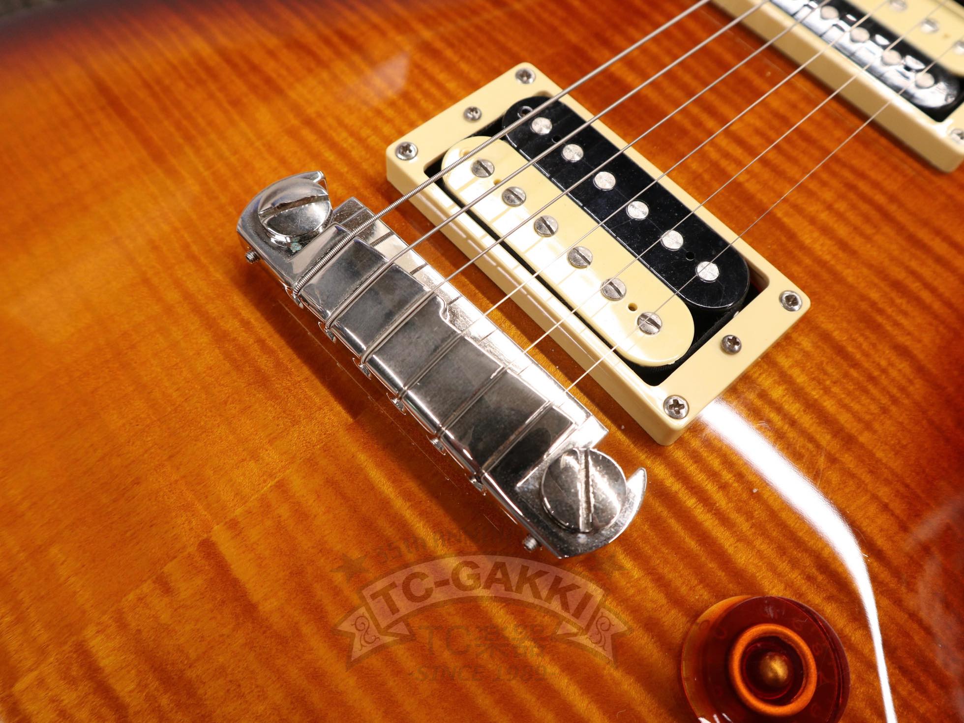 SE 245 STANDARD - TC楽器 - TCGAKKI