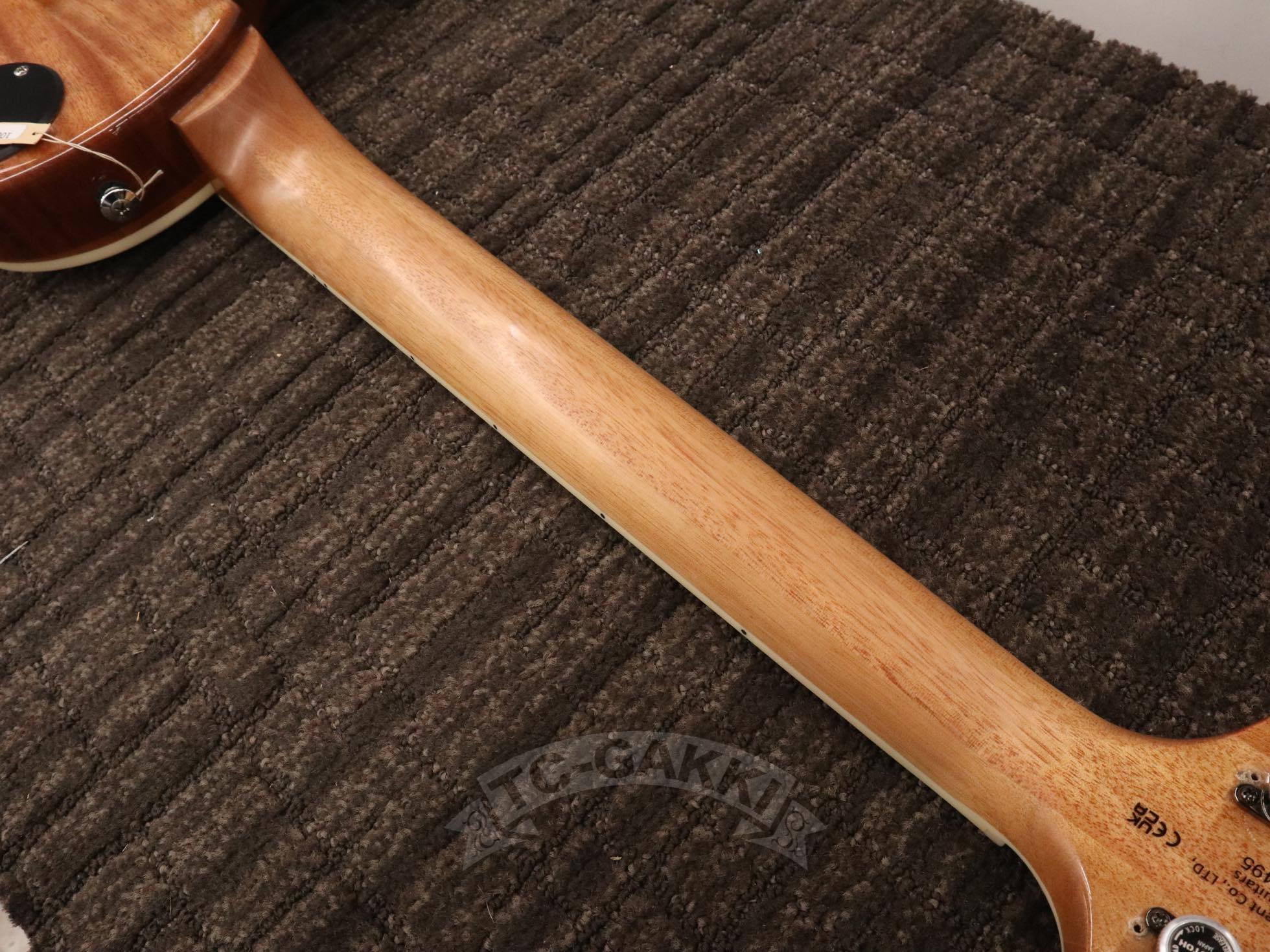 SE Zach Myers - TC楽器 - TCGAKKI