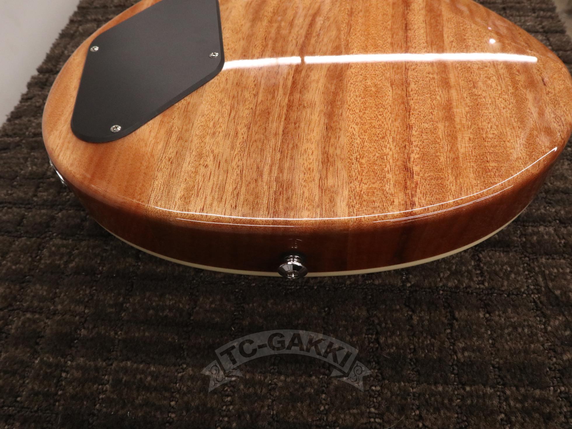 SE Zach Myers - TC楽器 - TCGAKKI