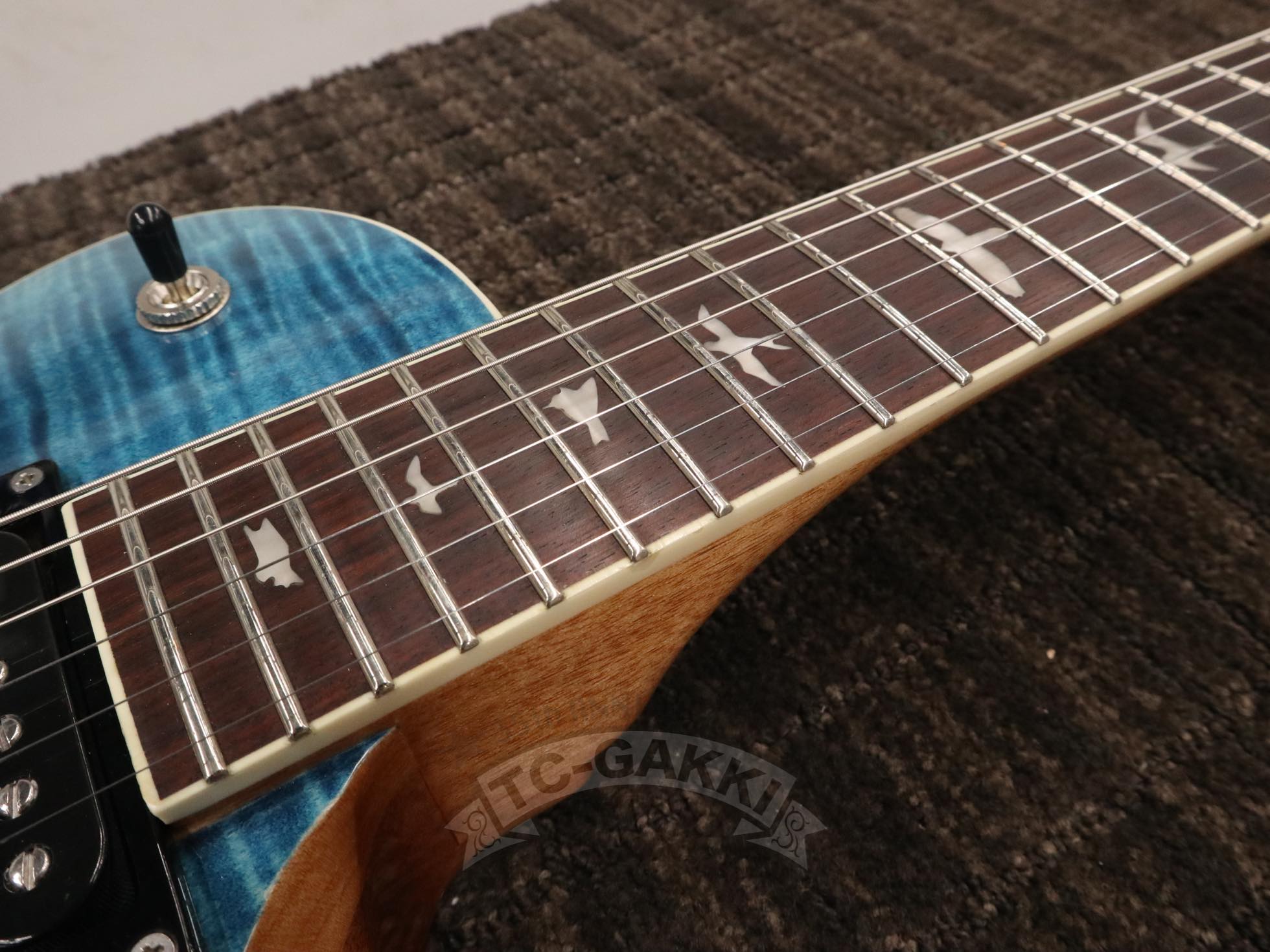 SE Zach Myers - TC楽器 - TCGAKKI