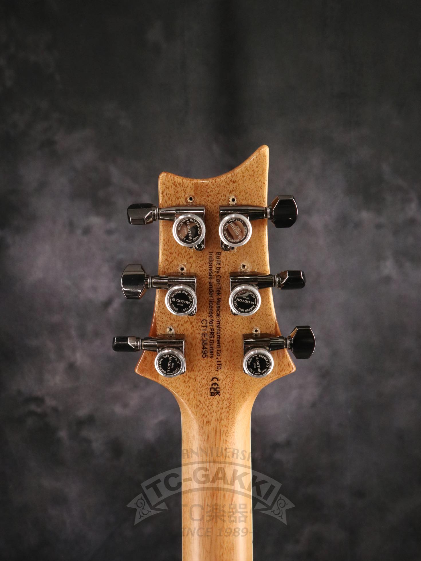 SE Zach Myers - TC楽器 - TCGAKKI