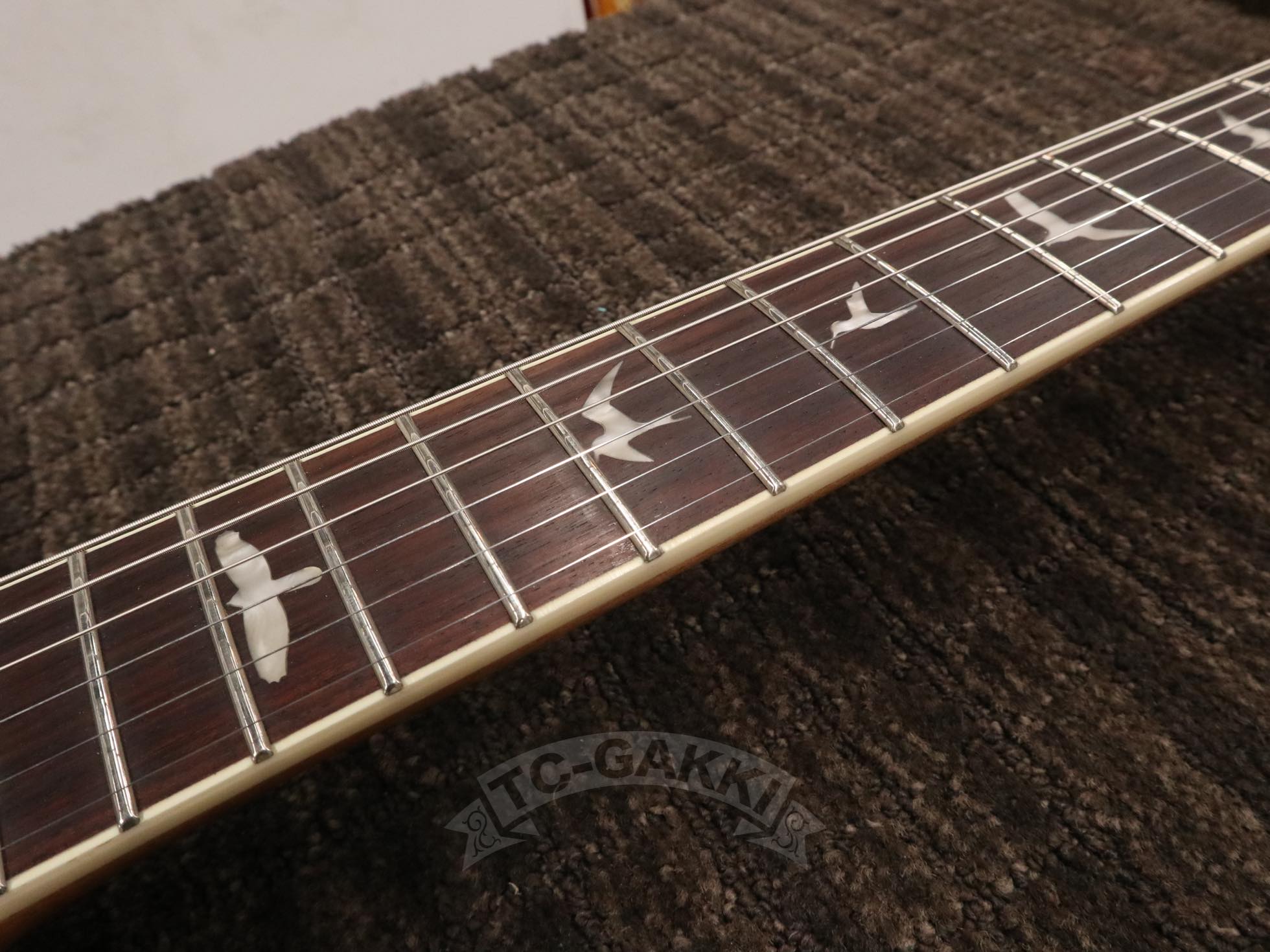 SE Zach Myers - TC楽器 - TCGAKKI