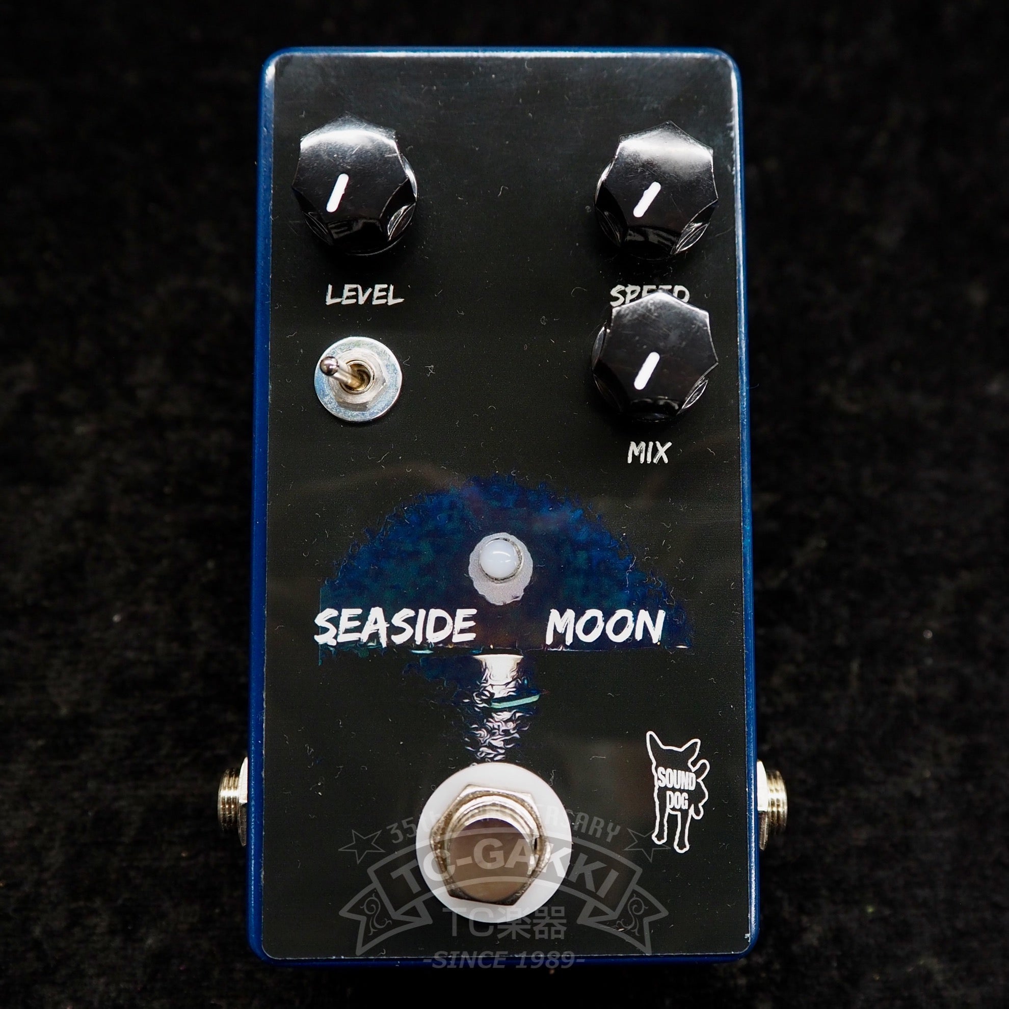 SEASIDE MOON (NEW) - TC楽器 - TCGAKKI