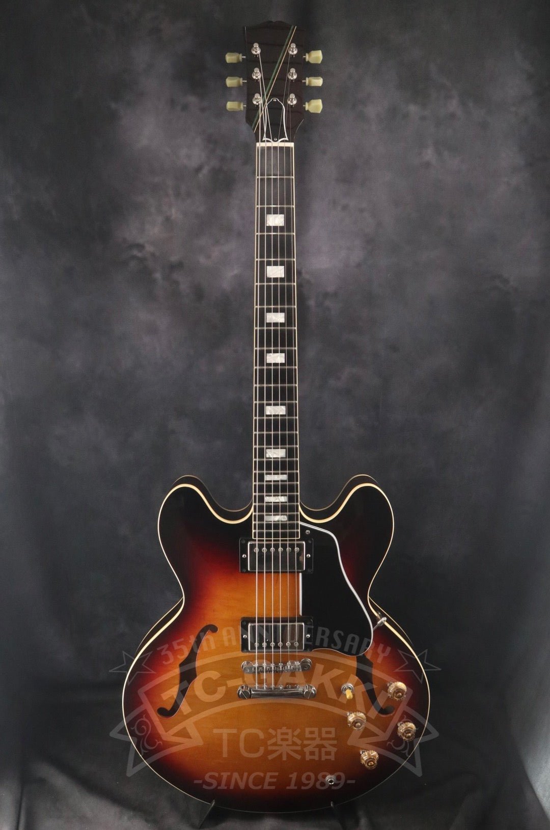 エレキギター/セミアコースティックギター Semi Acoustic Guitar