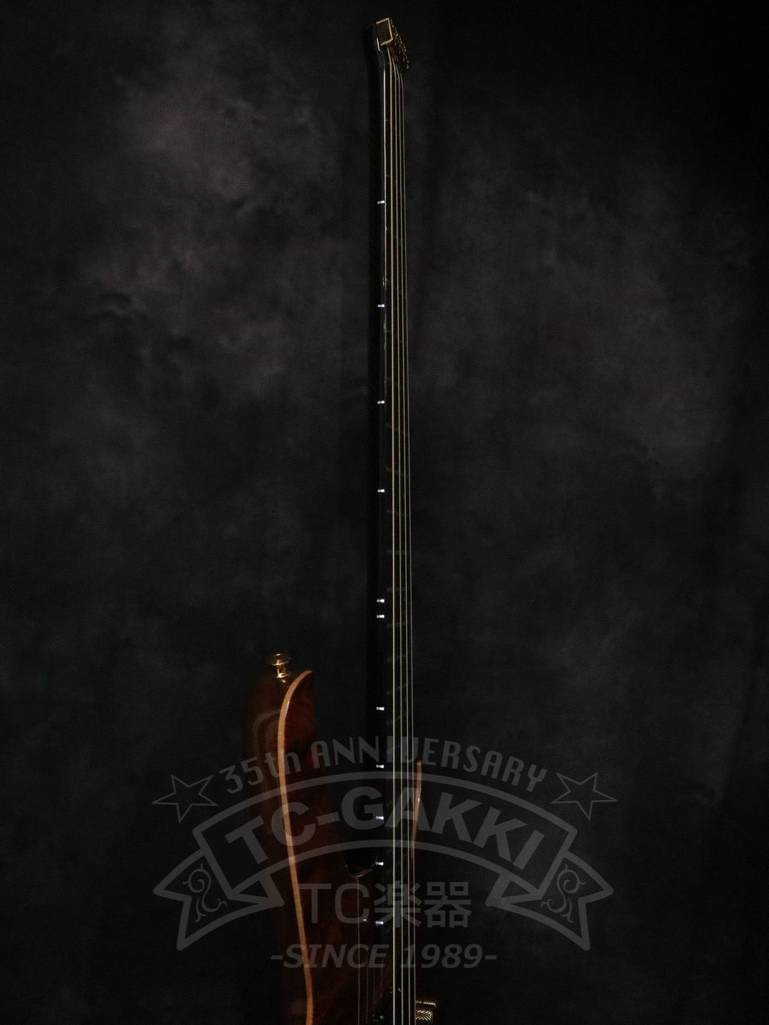 Series 3 Through Neck 4st Headless - TC楽器 - TCGAKKI