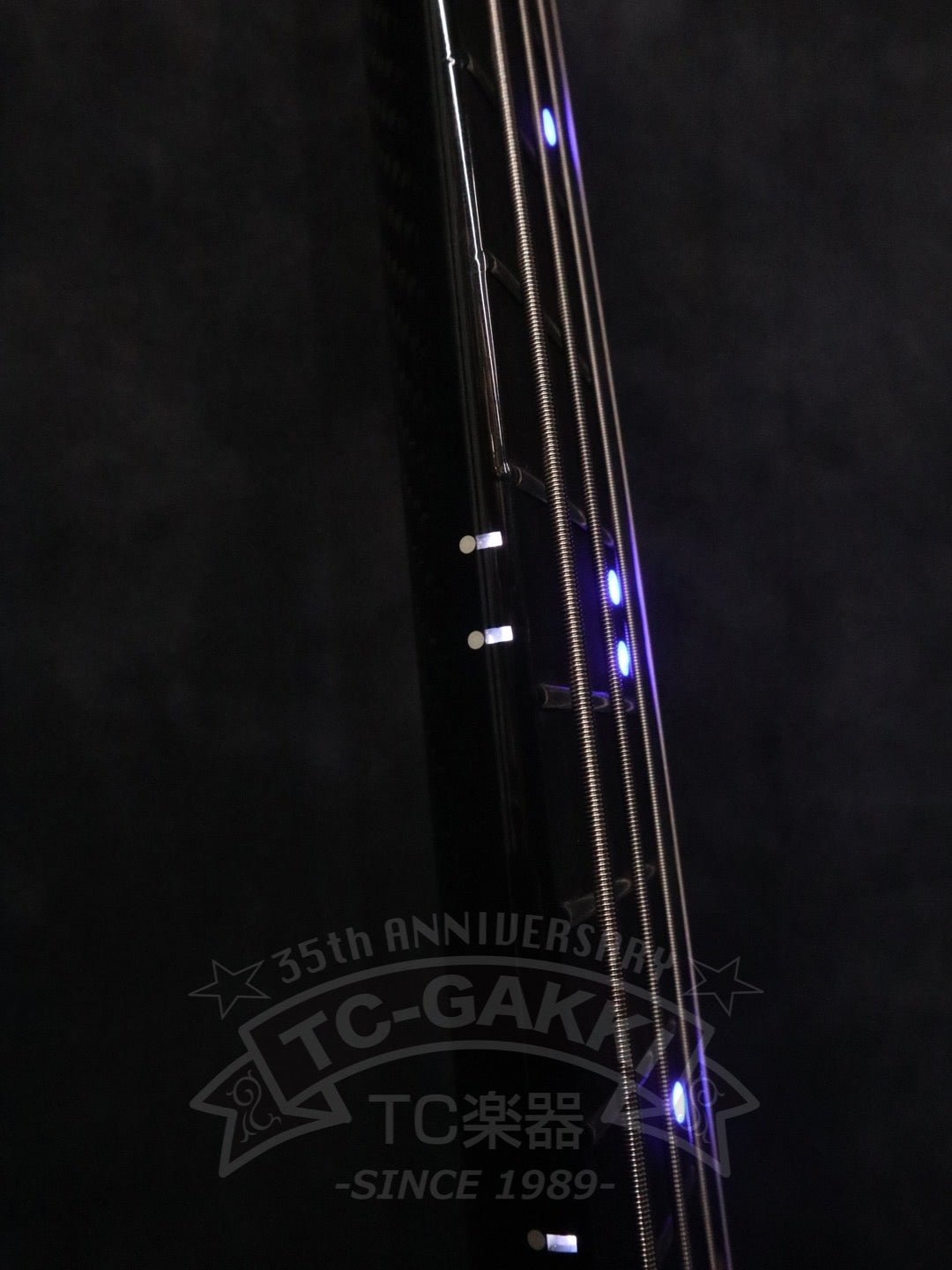 Series 3 Through Neck 4st Headless - TC楽器 - TCGAKKI