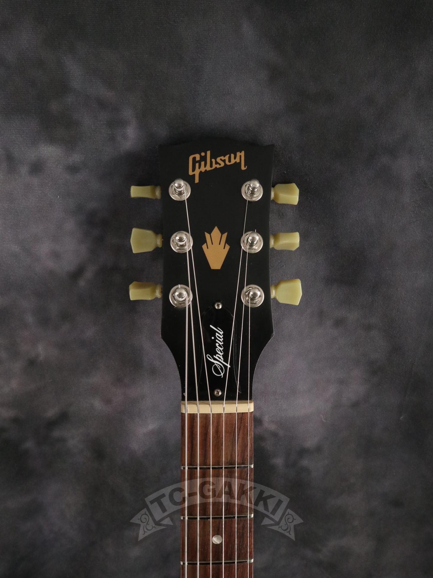 SG Special 2014 - TC楽器 - TCGAKKI